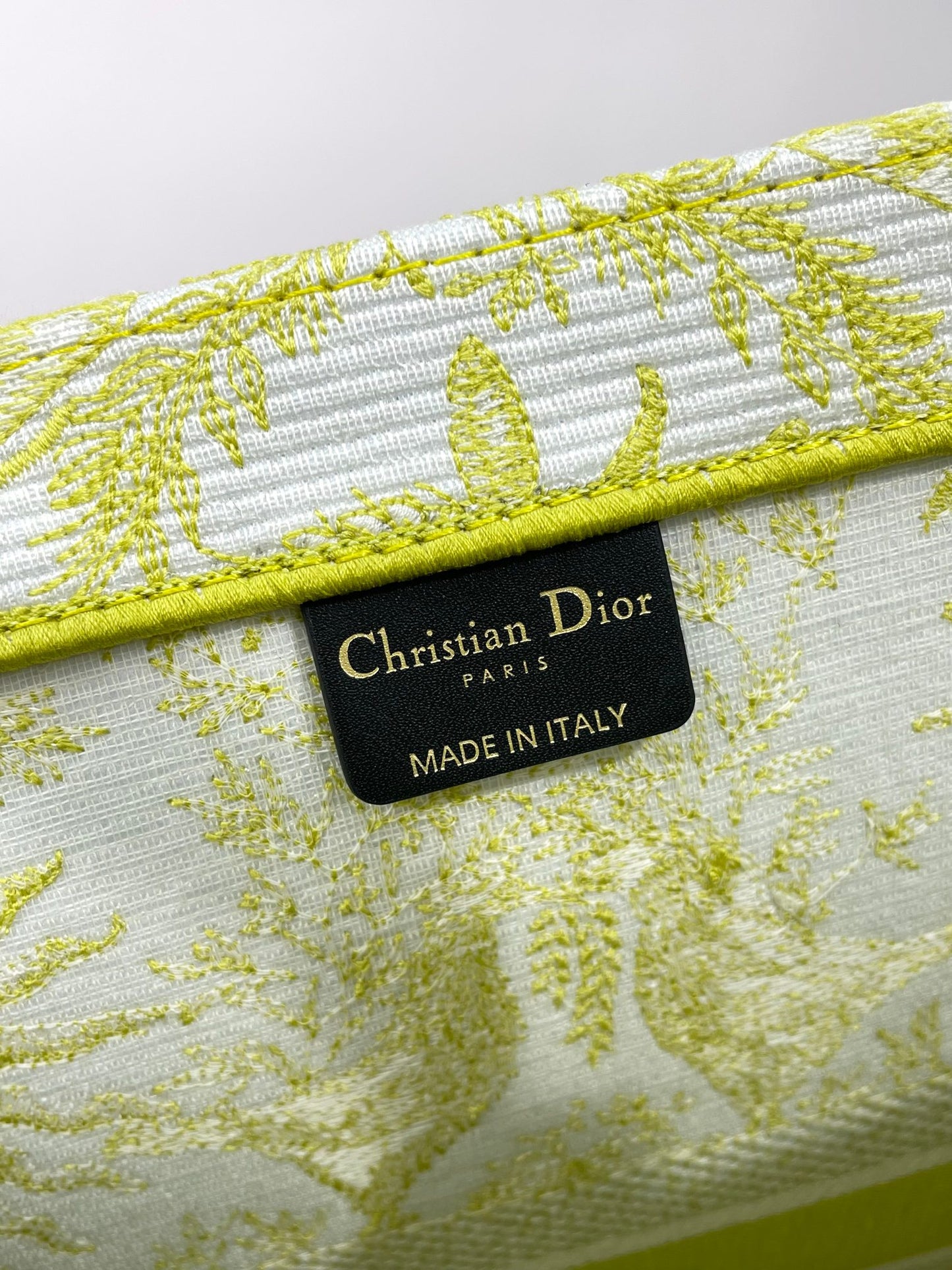 Dior Lime Green Toile Print Canvas Tote Bag Luxury Style Handbag