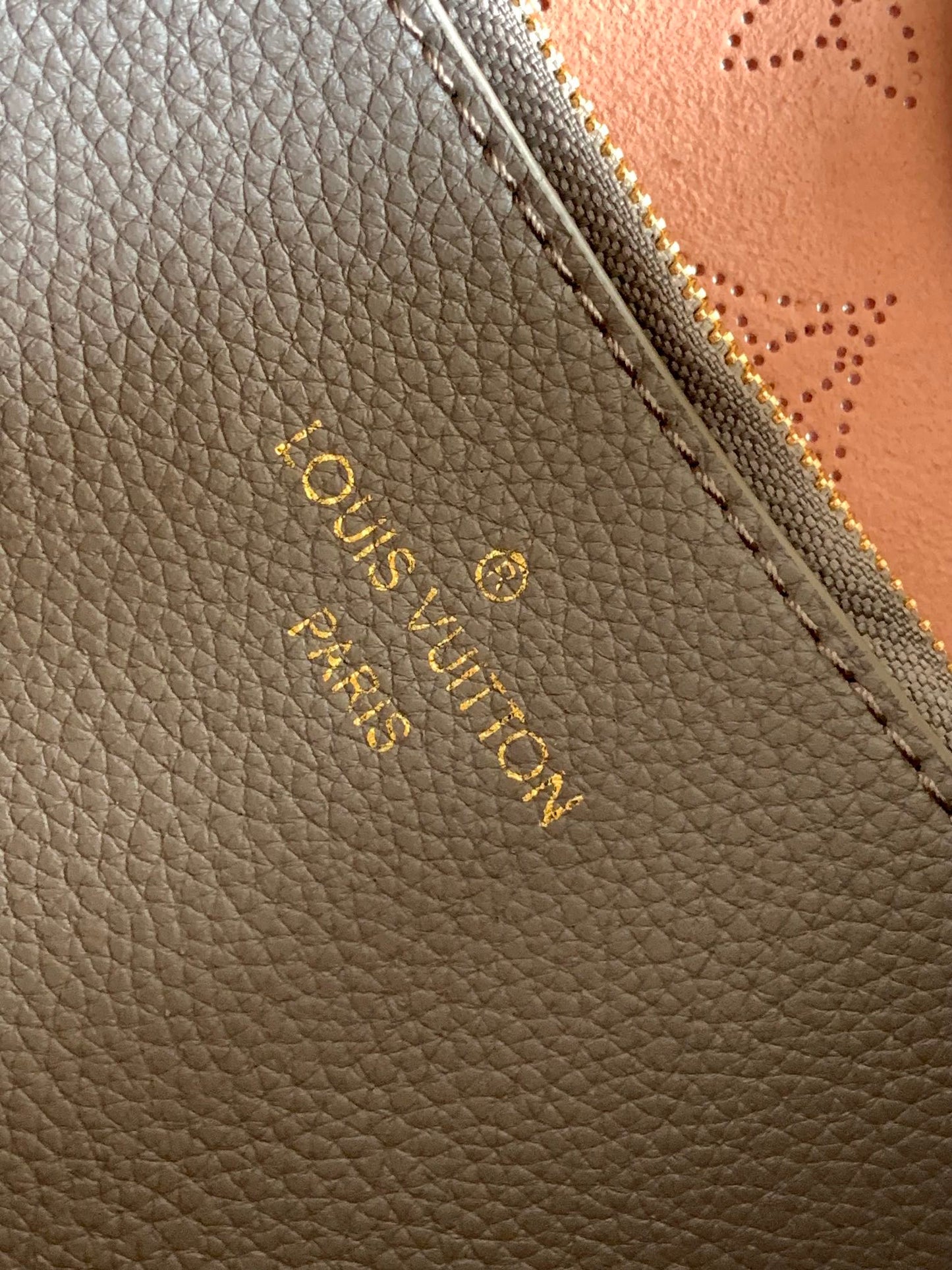 Louis Vuitton Taupe Monogram Leather Hobo Bag with Braided Handle