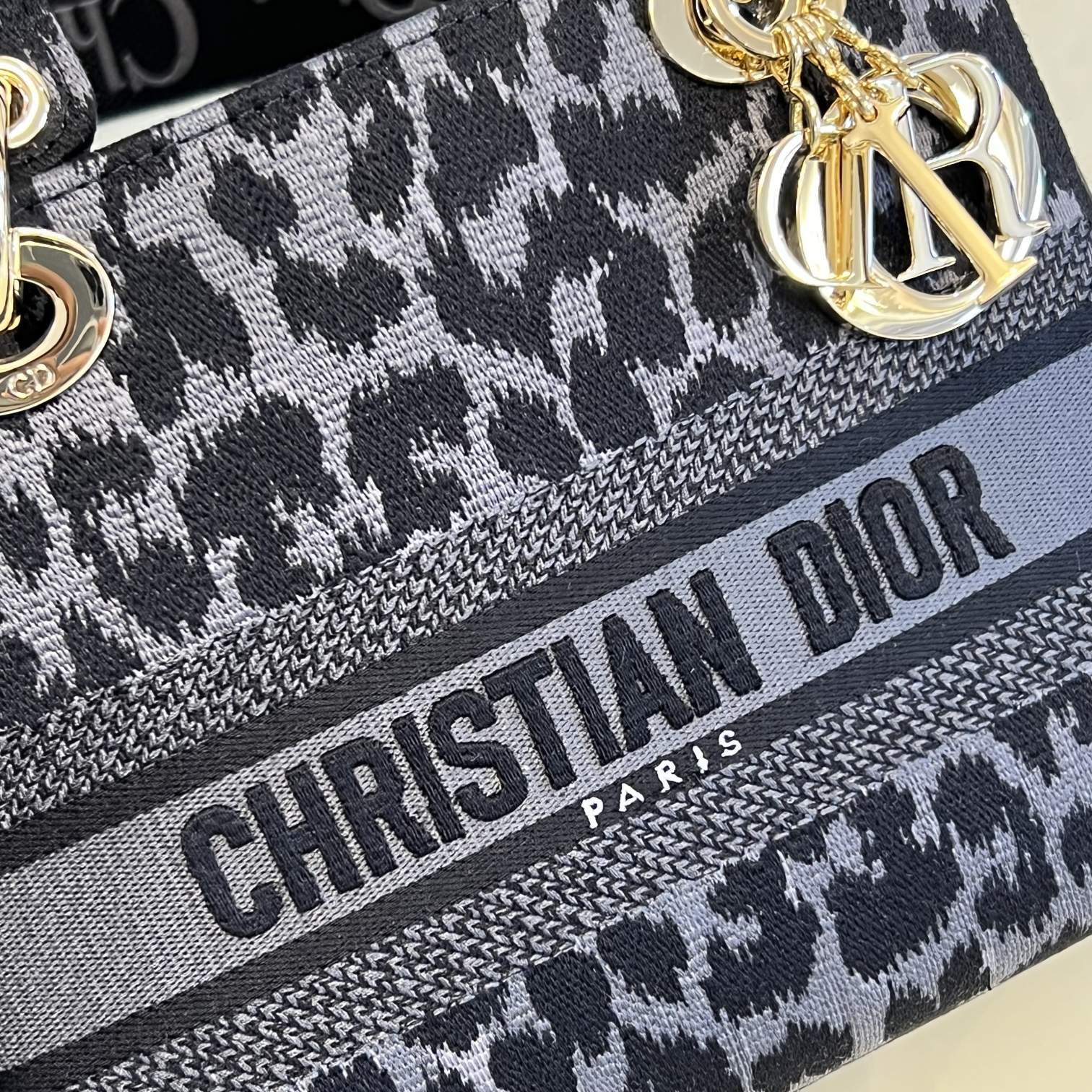 Dior Grey Leopard Print Canvas Mini Handbag with Shoulder Strap