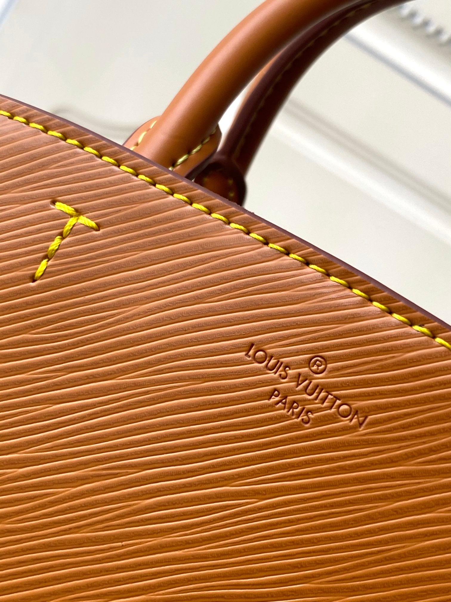 Louis Vuitton Camel Textured Leather Tote Handbag with Detachable Crossbody Strap
