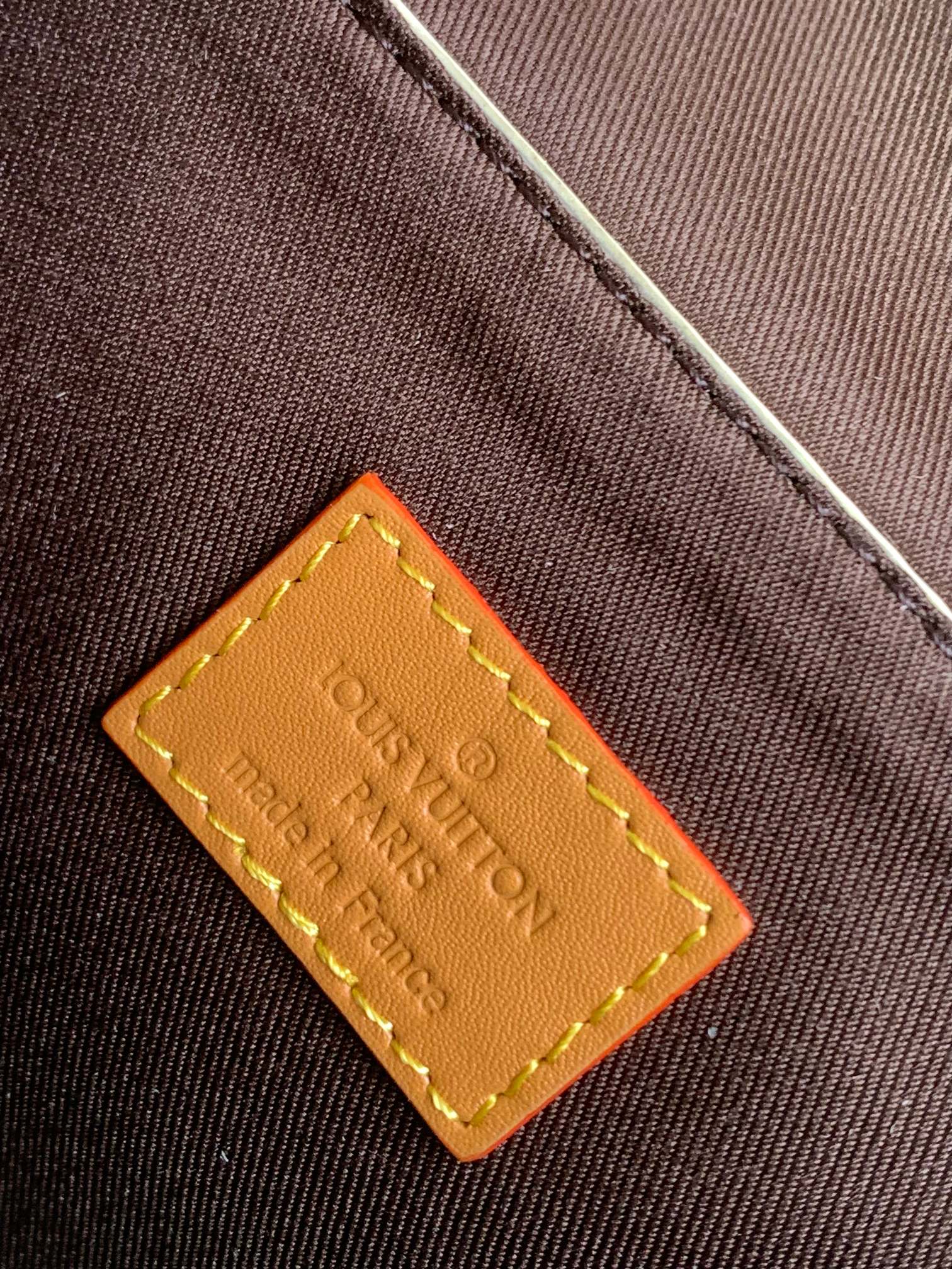 Louis Vuitton Whimsical Cat Print Monogram Mini Backpack Crossbody Bag