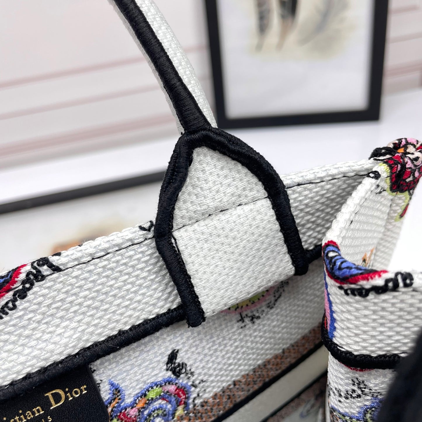 Christian Dior Book Tote Canvas Bag with Multi-Color Animal Print