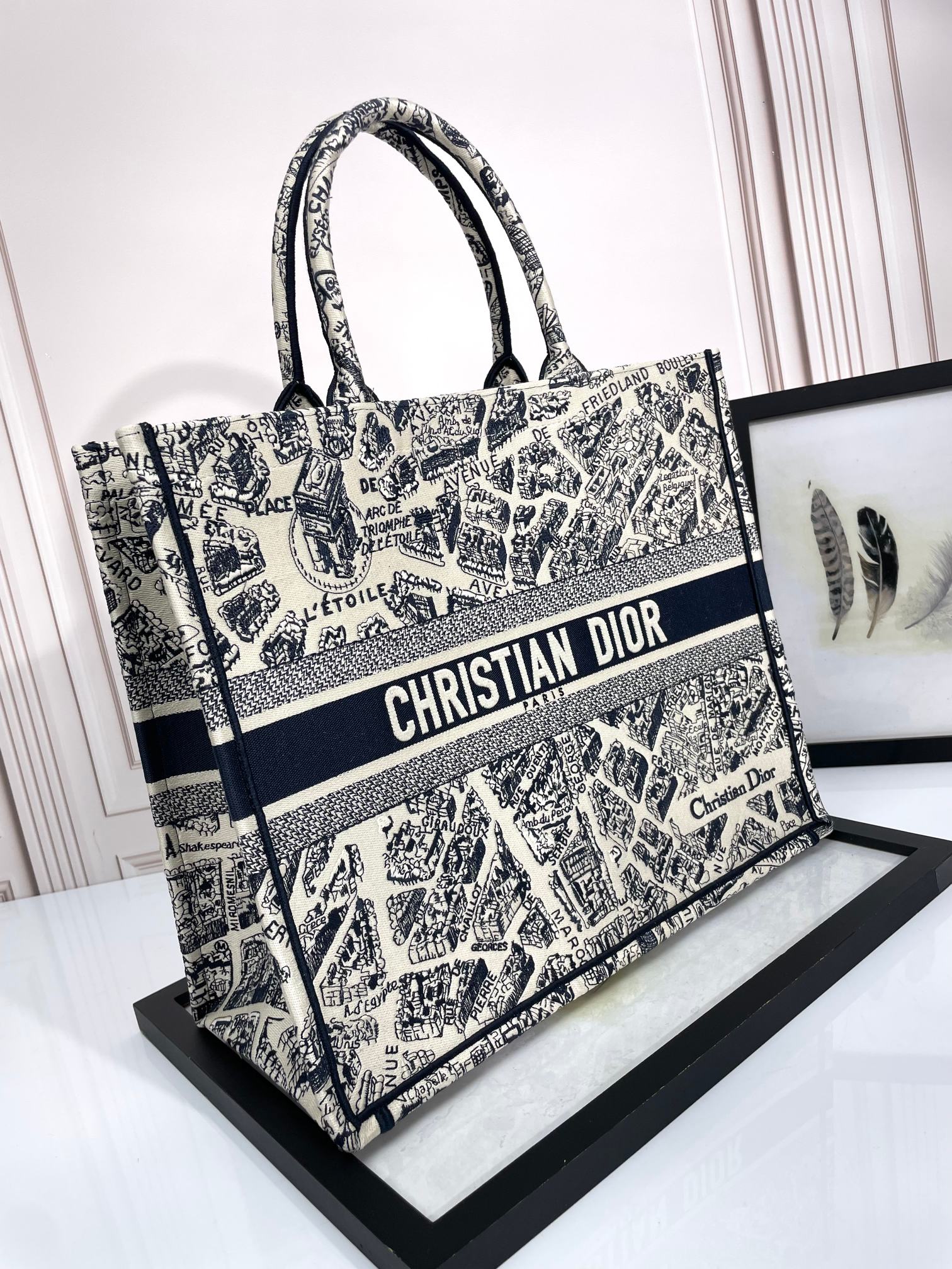 Christian Dior Medium Book Tote Plan de Paris Embroidery Canvas Bag
