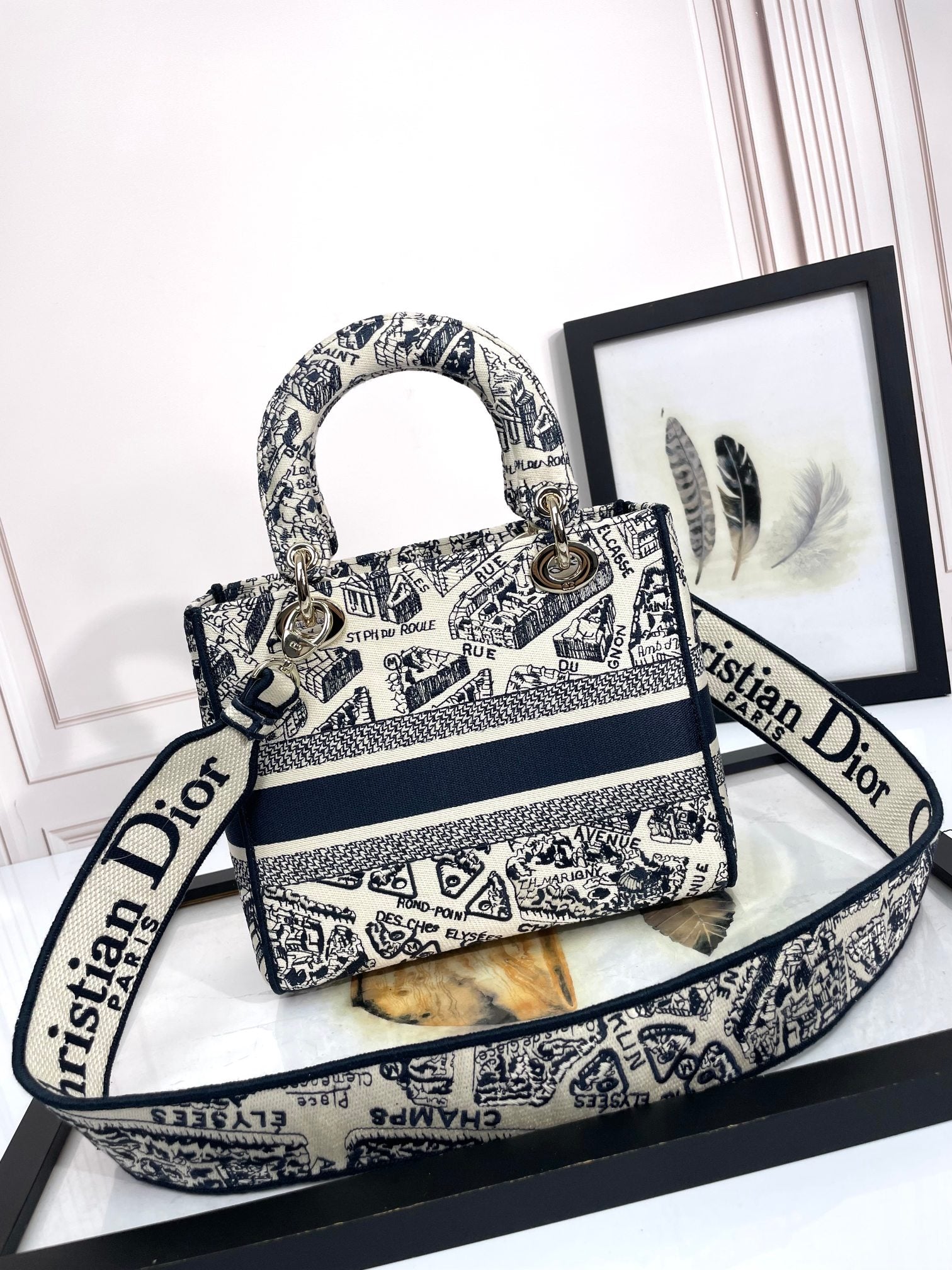 Christian Dior Lady D-Lite Bag - Blue Toile de Jouy Reverse Embroidery