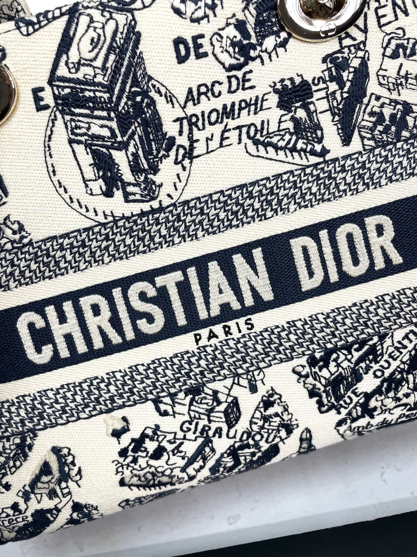 Christian Dior Lady D-Lite Bag - Blue Toile de Jouy Reverse Embroidery