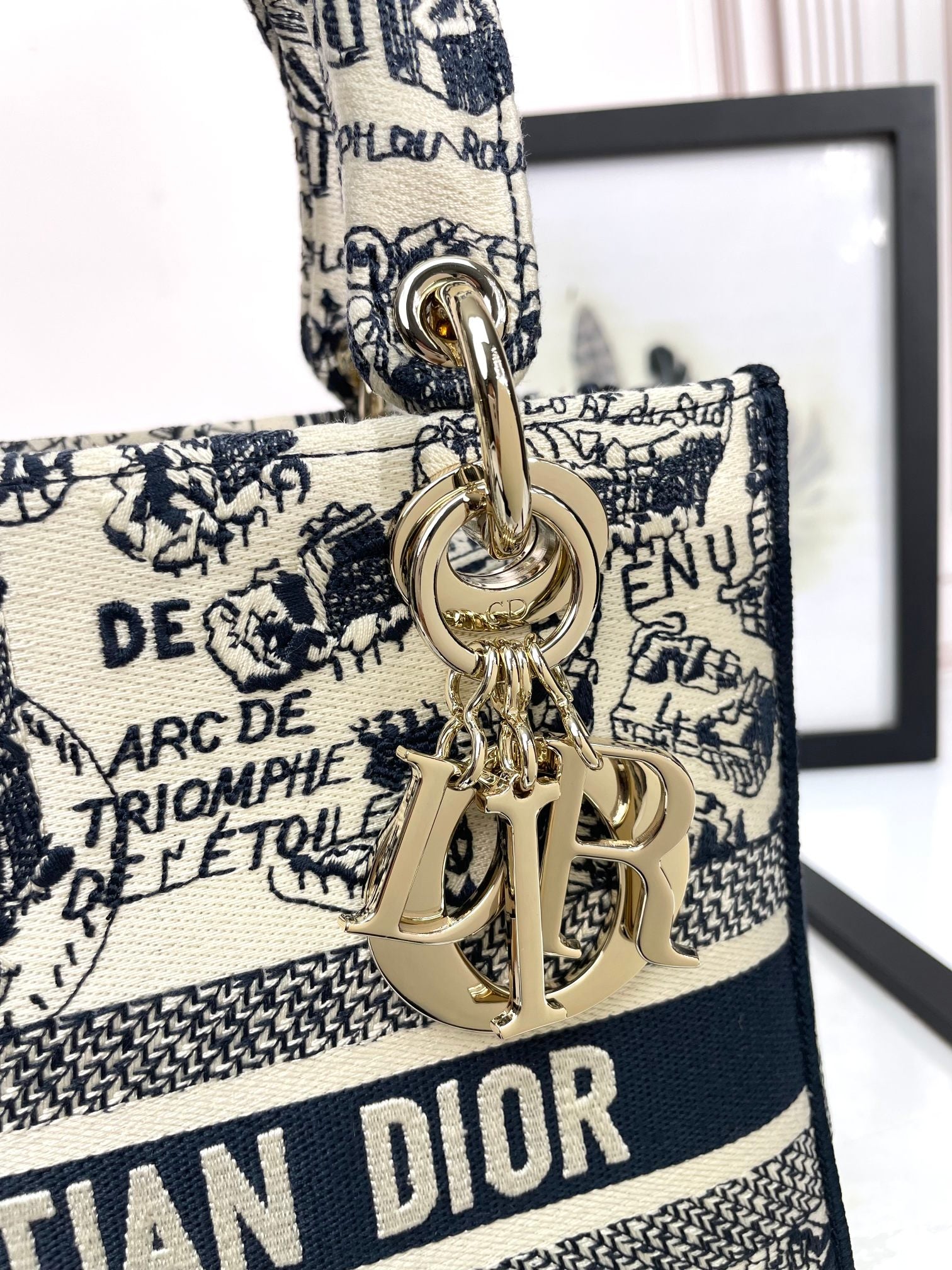 Dior Embroidered Toile Tapestry Canvas Top Handle Bag with Strap