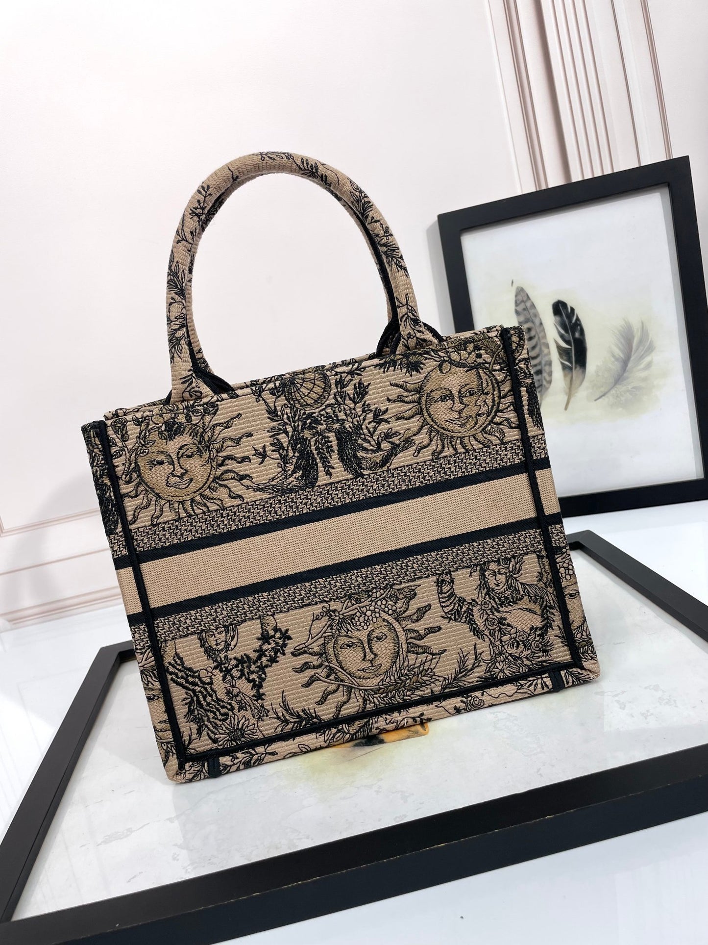 Christian Dior Book Tote Canvas Bag with Celestial Sun Motif