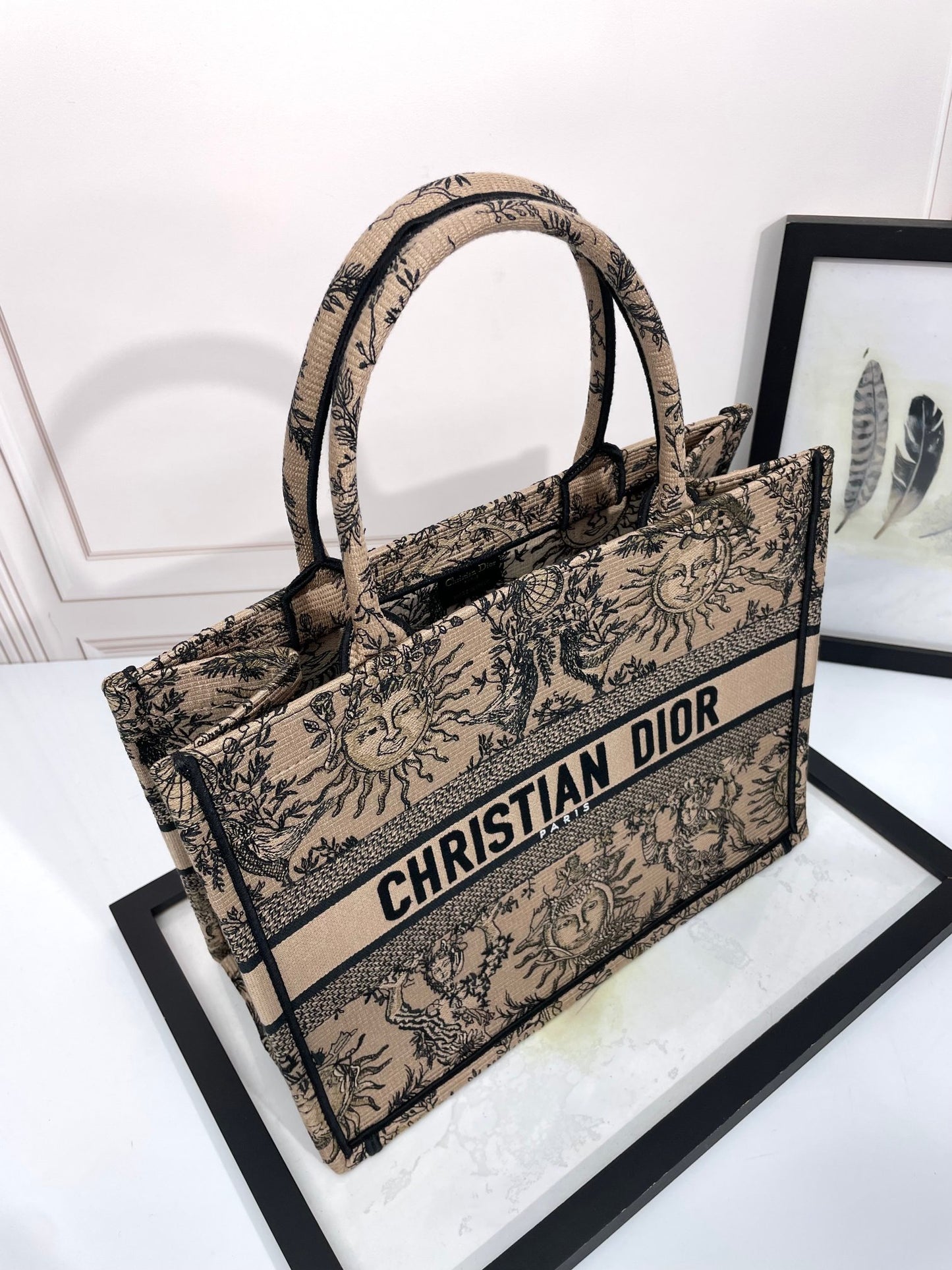 Christian Dior Medium Book Tote Bag with Celestial Sun Embroidery