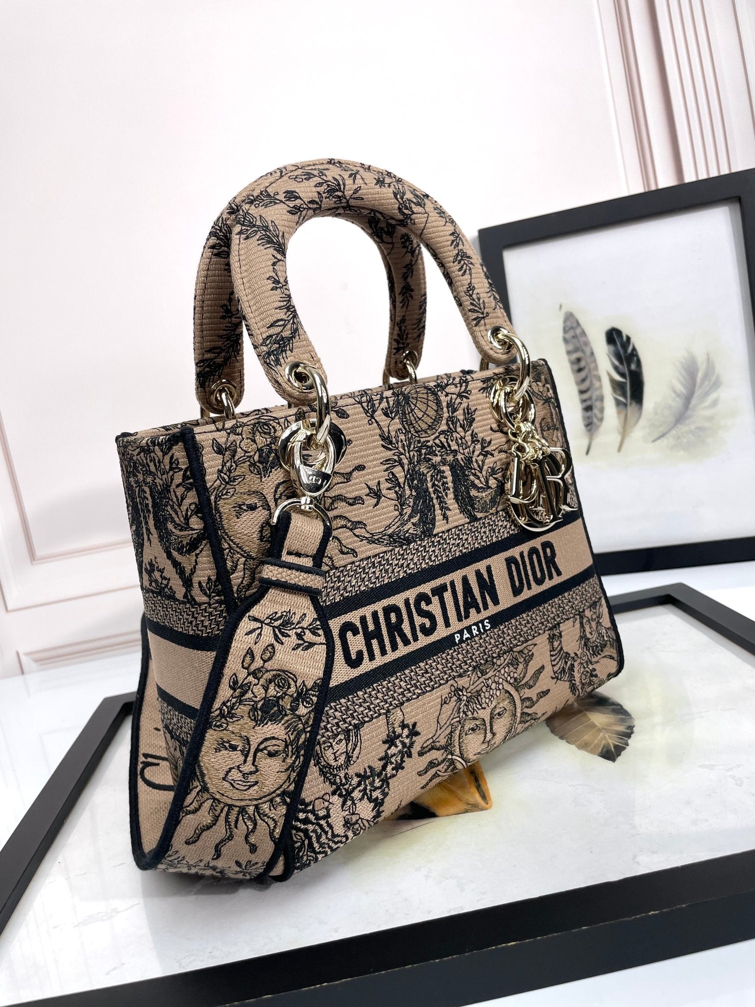 Christian Dior Medium Lady D-Lite Bag - Beige Embroidered Canvas with Constellation Print