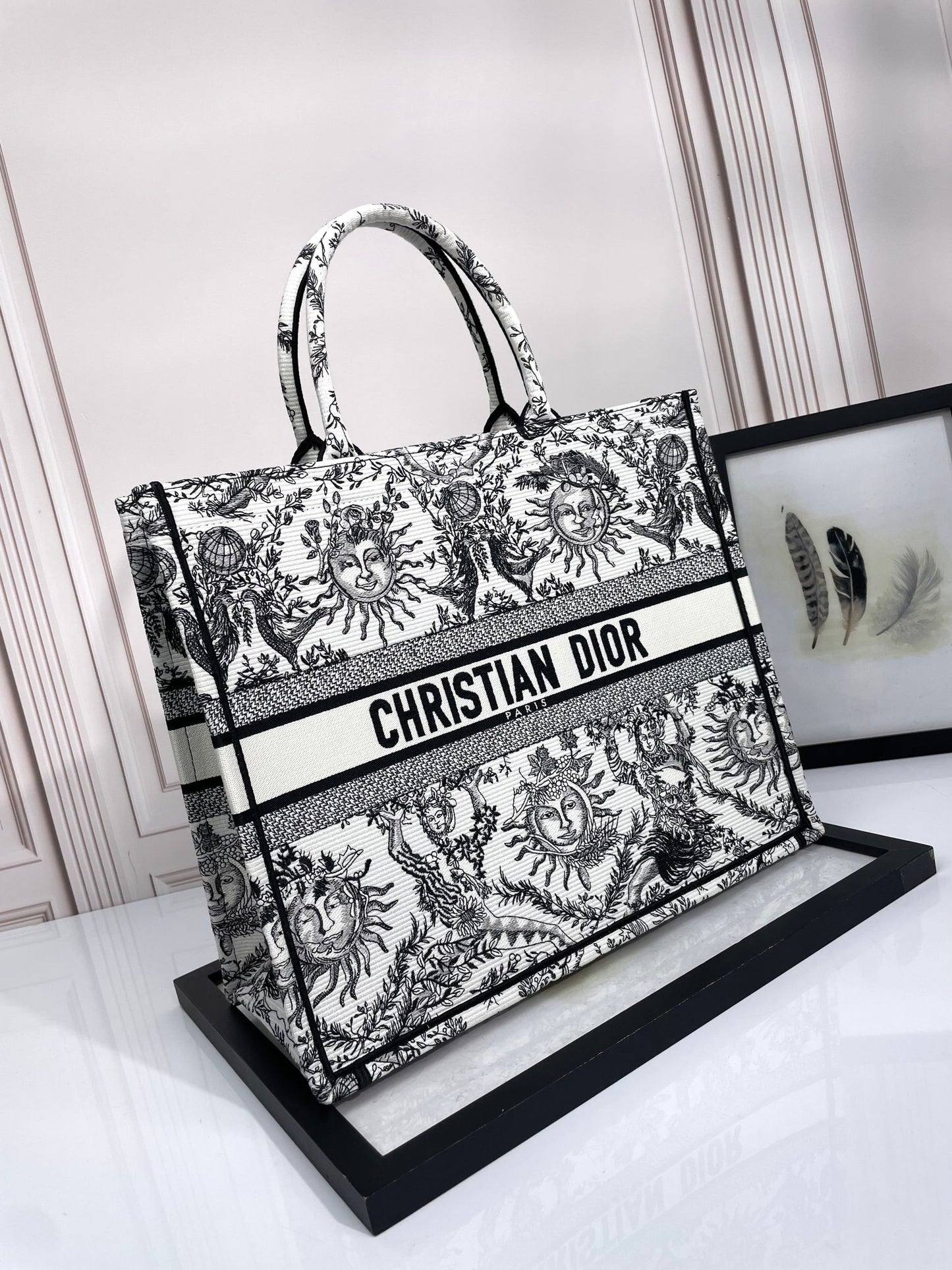 Christian Dior Medium Book Tote - Black and White Toile de Jouy Soleil Canvas