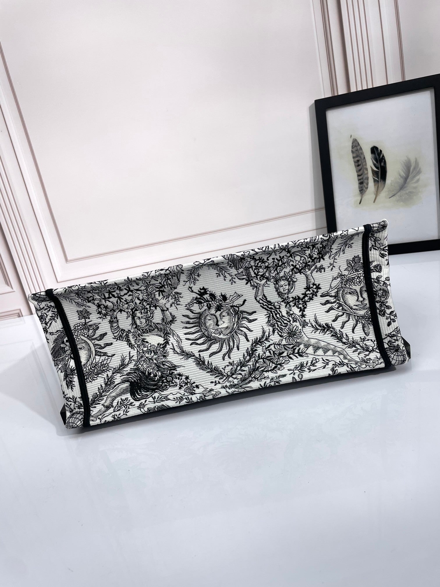 Christian Dior Medium Book Tote - Black and White Toile de Jouy Soleil Canvas