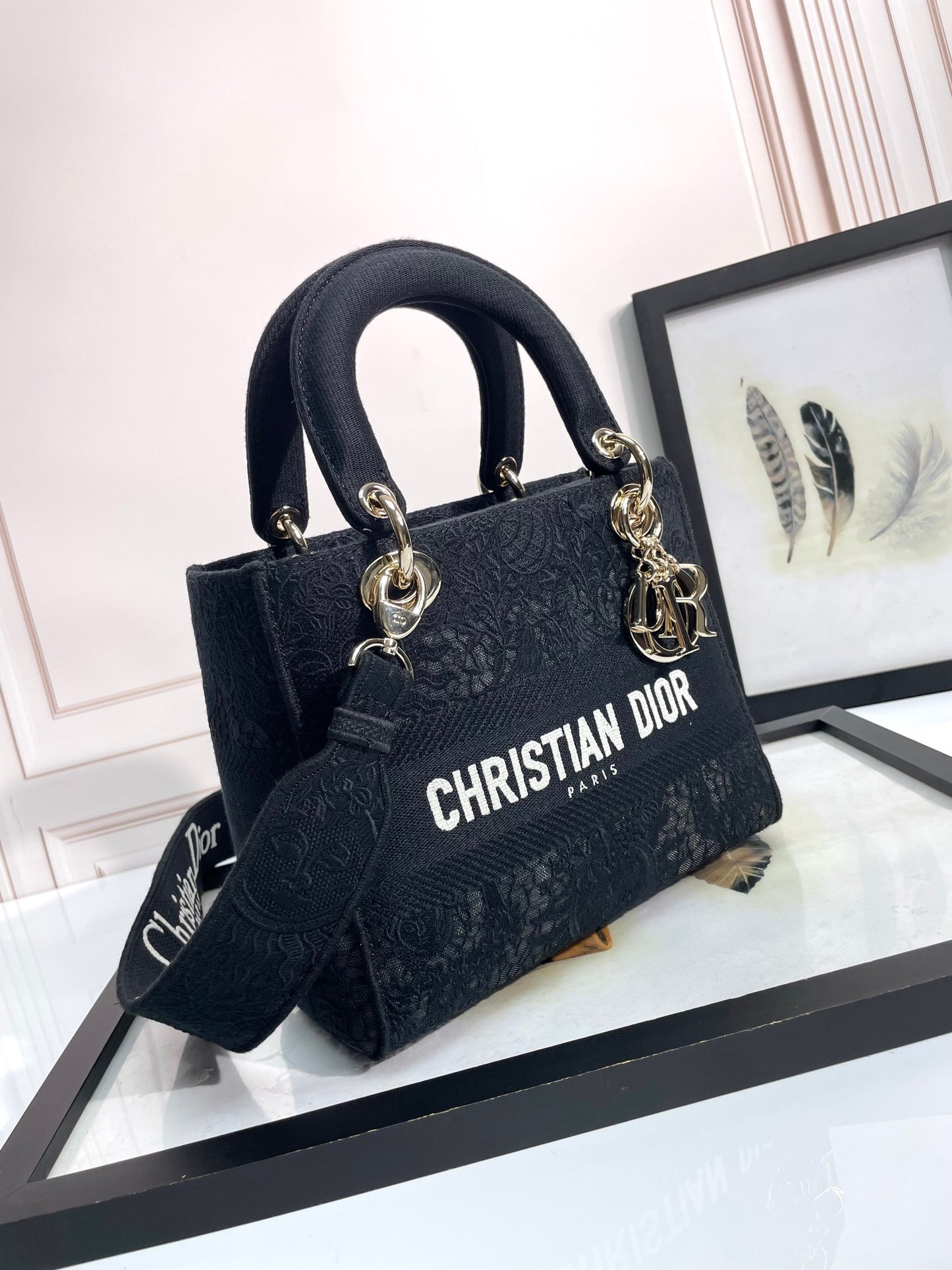 Christian Dior Medium Lady D-Lite Bag in Black Embroidered Canvas