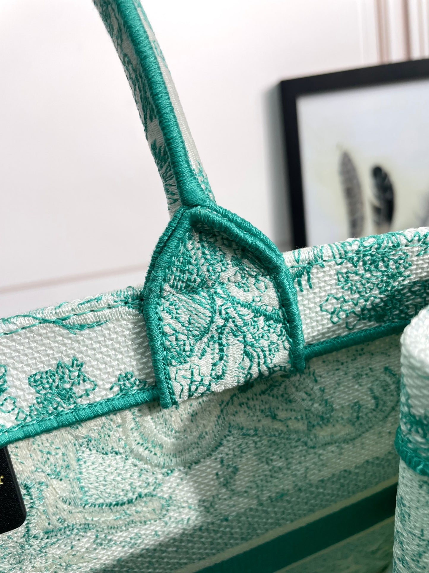 Christian Dior Medium Book Tote - Green Toile de Jouy Embroidered Canvas