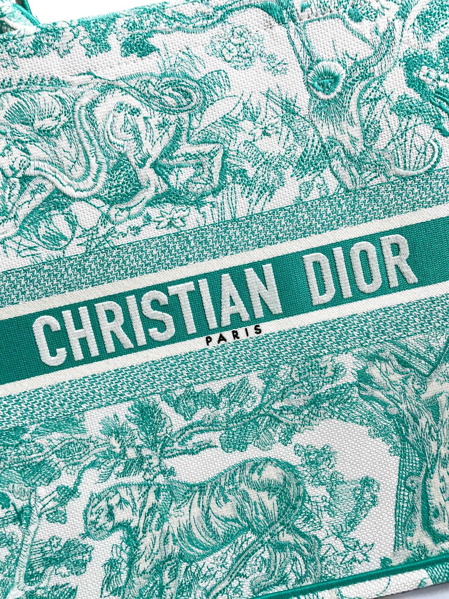 Christian Dior Green Toile de Jouy Book Tote Bag