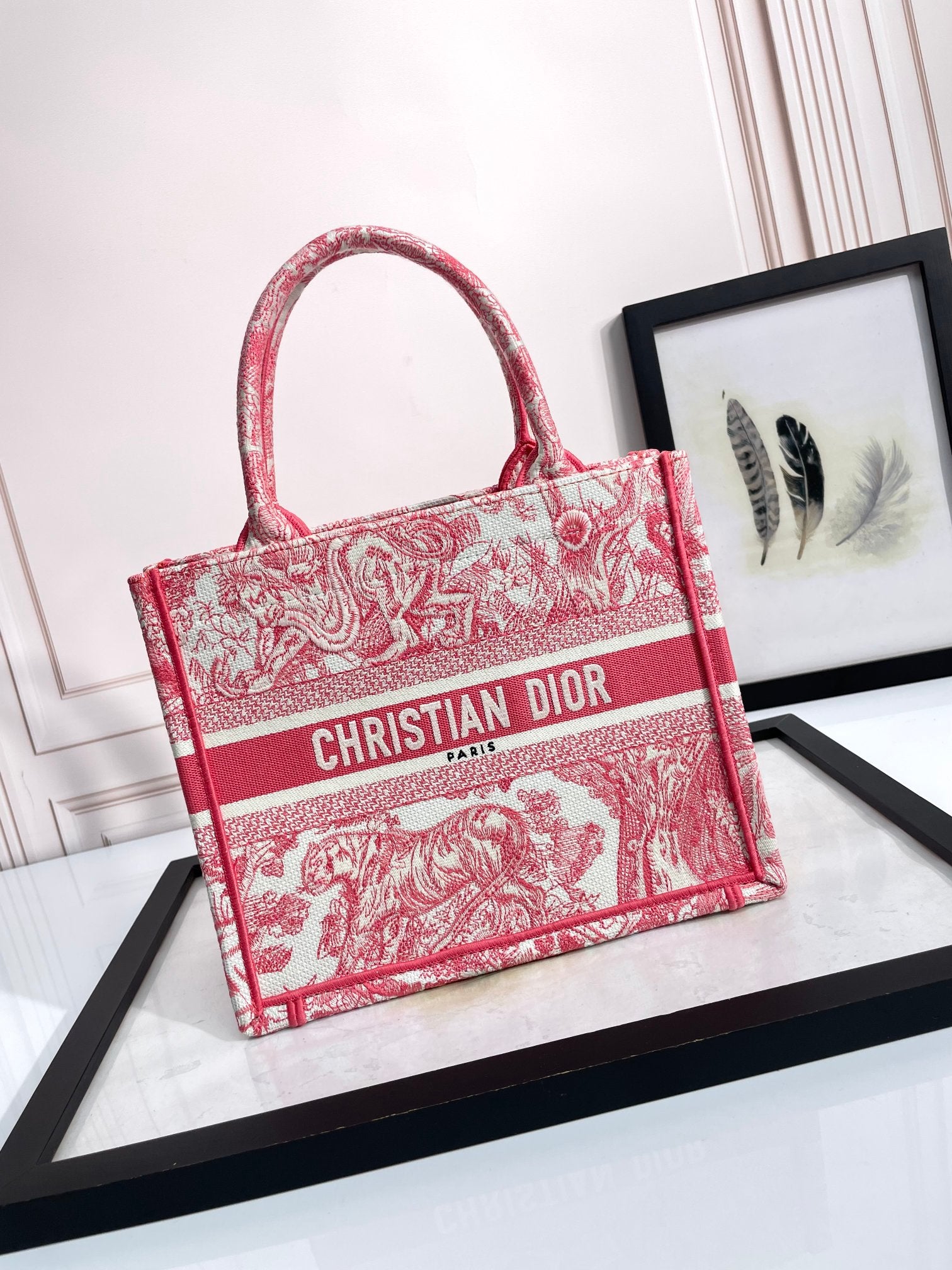 Christian Dior Medium Book Tote Pink Toile de Jouy Embroidery