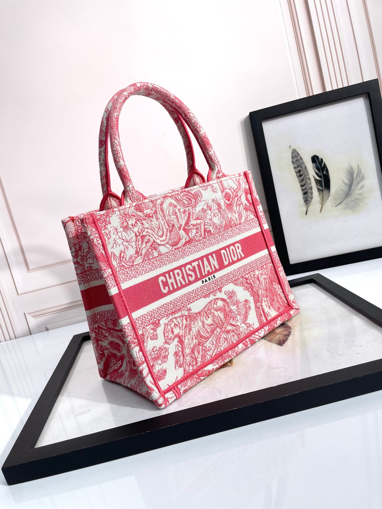 Dior Small Book Tote Red Toile de Jouy Embroidery