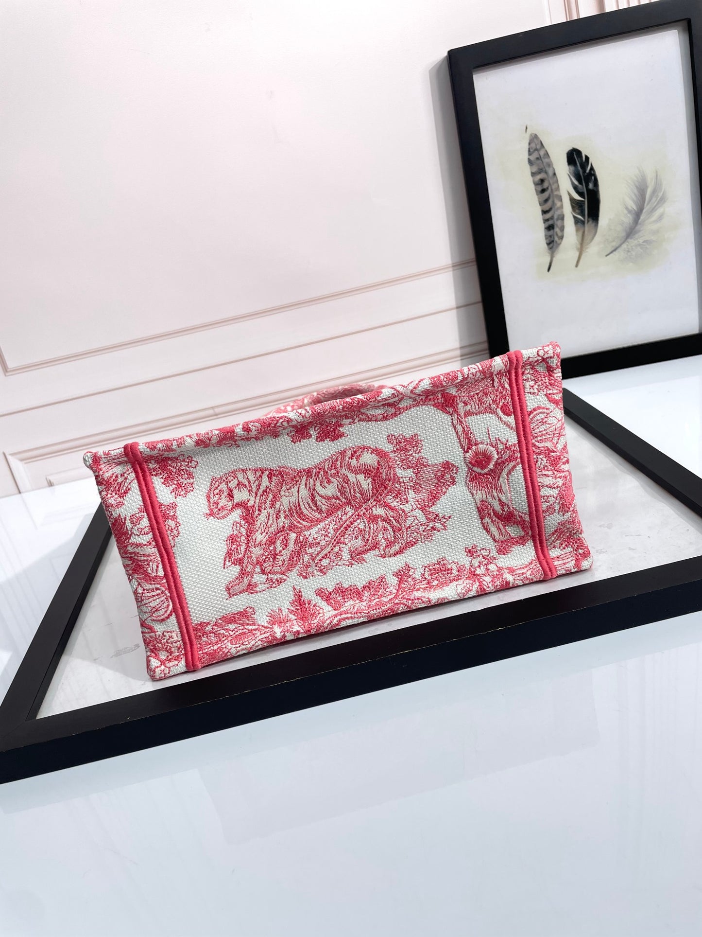 Dior Elegant Red Toile Embroidered Canvas Top Handle Tote Bag for Women