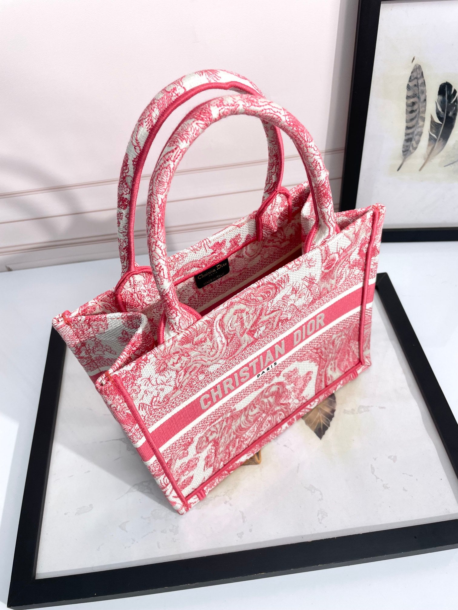 Dior Embroidered Pink Toile Canvas Tote Bag Structured Handbag