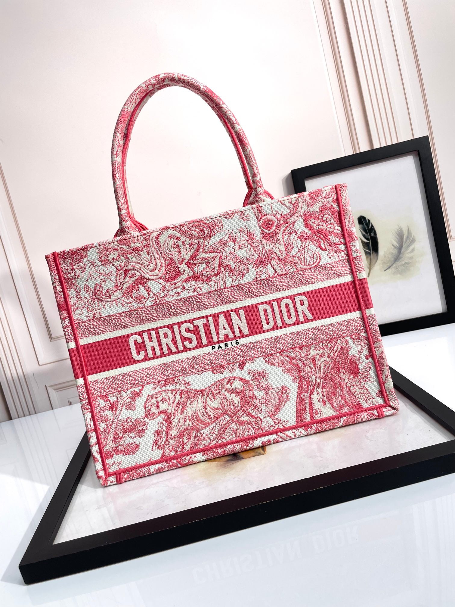Dior Red Toile de Jouy Pattern Canvas Tote Bag Embroidered Top Handle Handbag