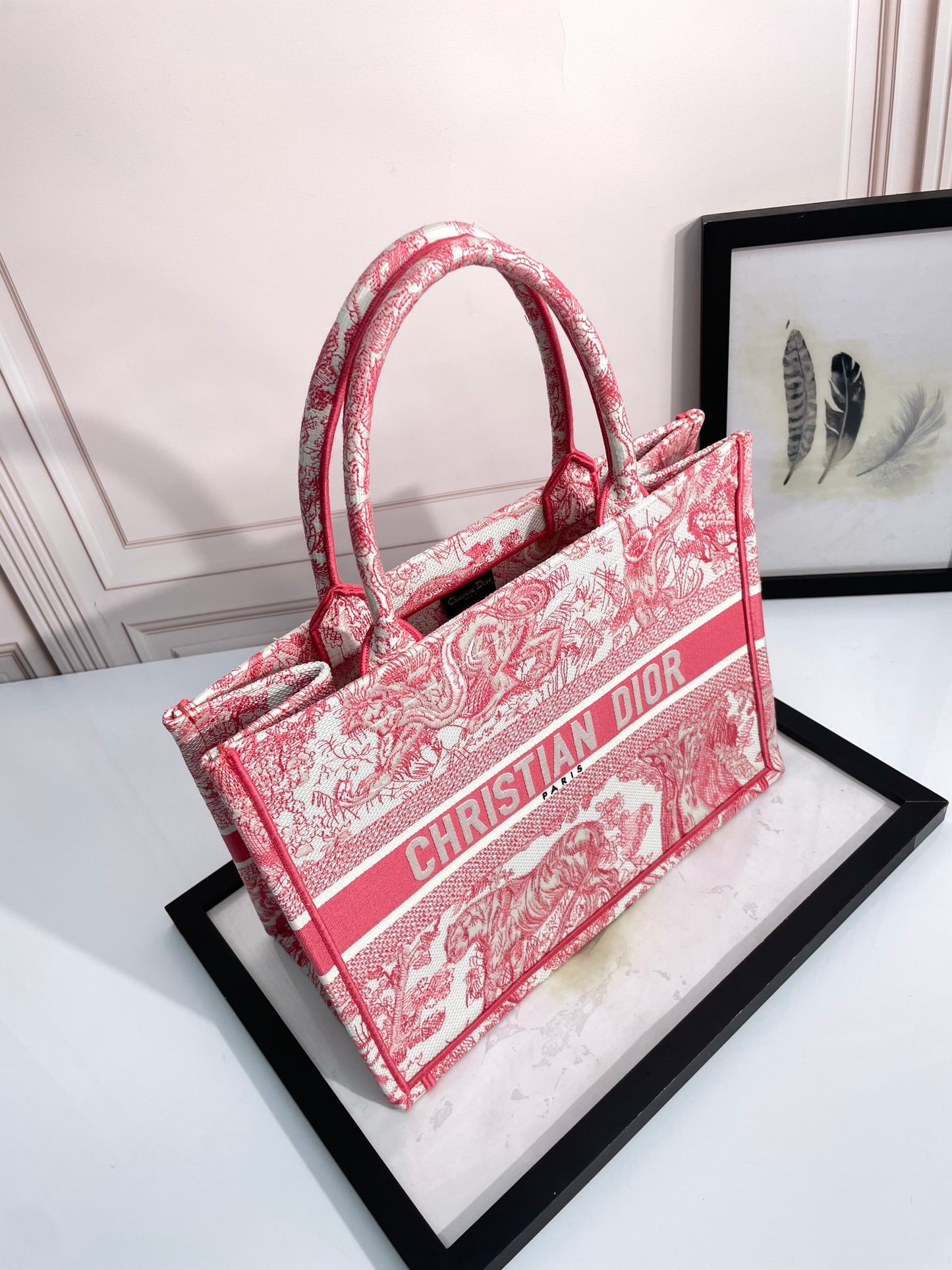 Dior Elegant Red and White Toile de Jouy Embroidered Canvas Tote Bag