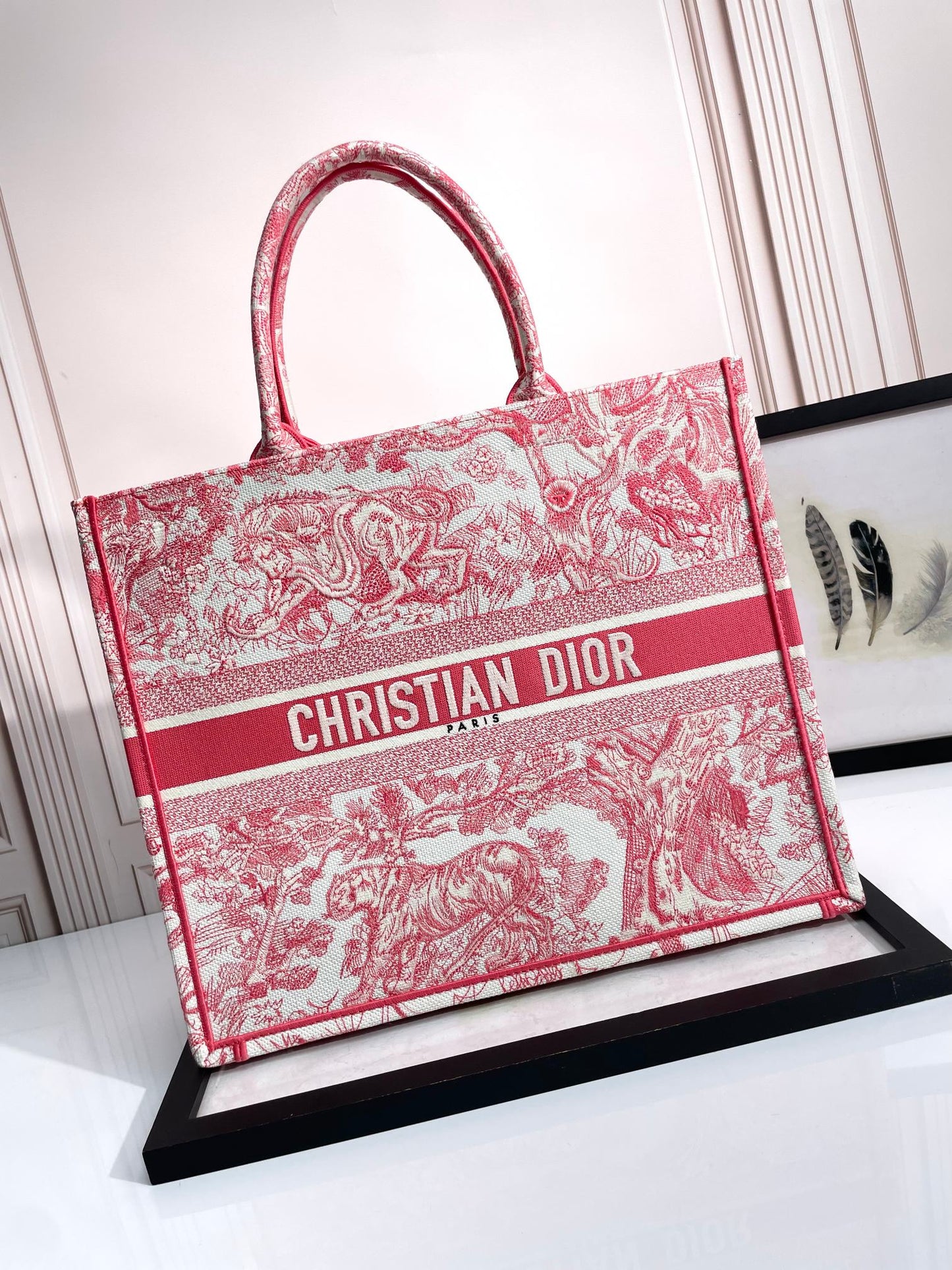 Christian Dior Large Book Tote Red Toile de Jouy Embroidery