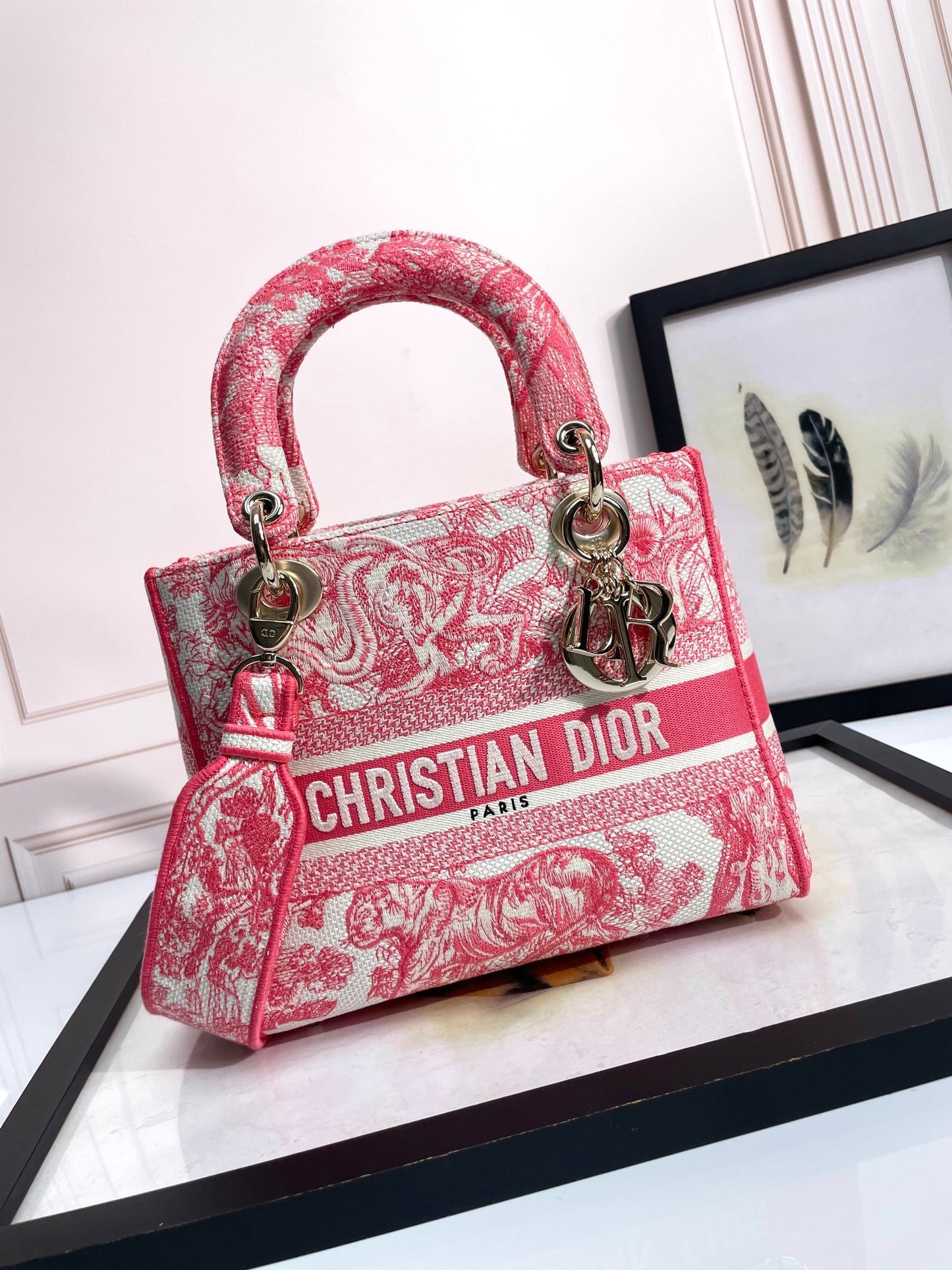Christian Dior Medium Lady D-Lite Bag - Pink Toile de Jouy Embroidery