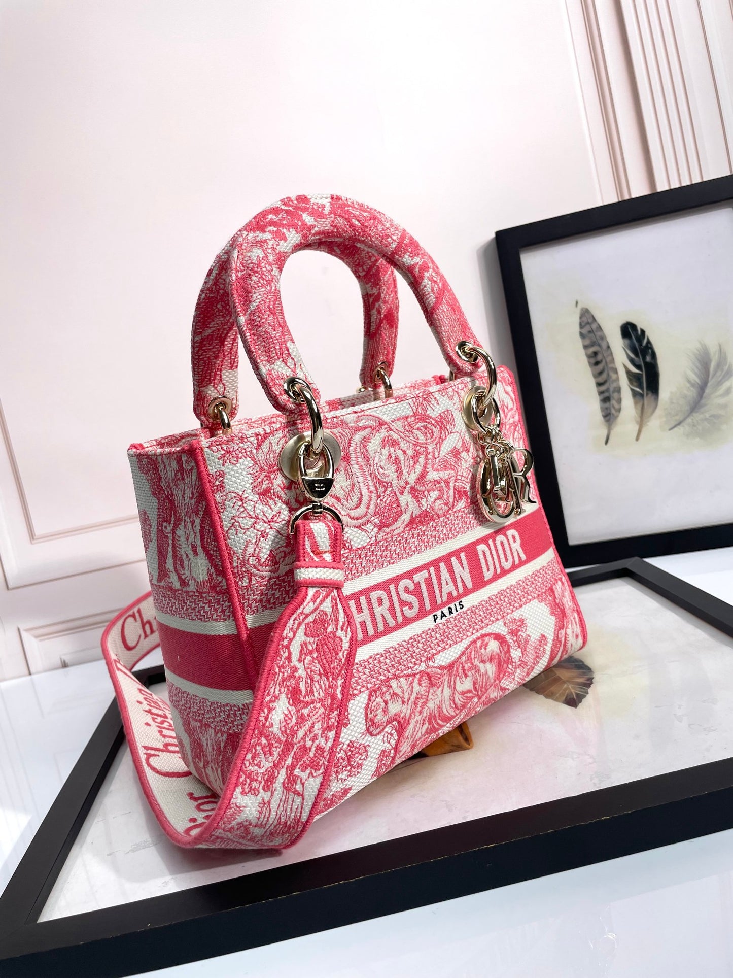 Dior Elegant Red Toile de Jouy Embroidered Canvas Top Handle Tote Bag