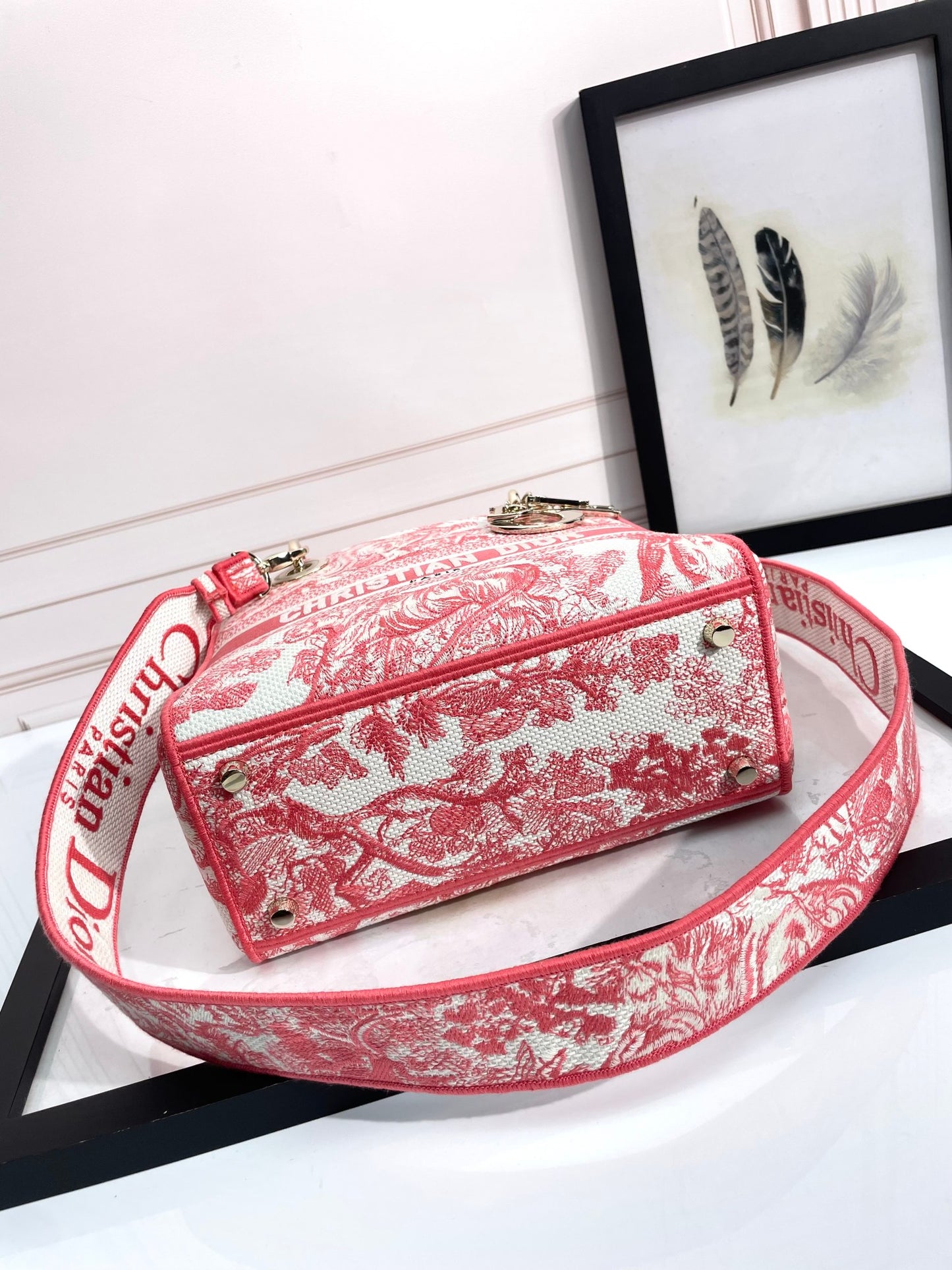 Dior Pink Toile de Jouy Embroidered Top Handle Shoulder Bag