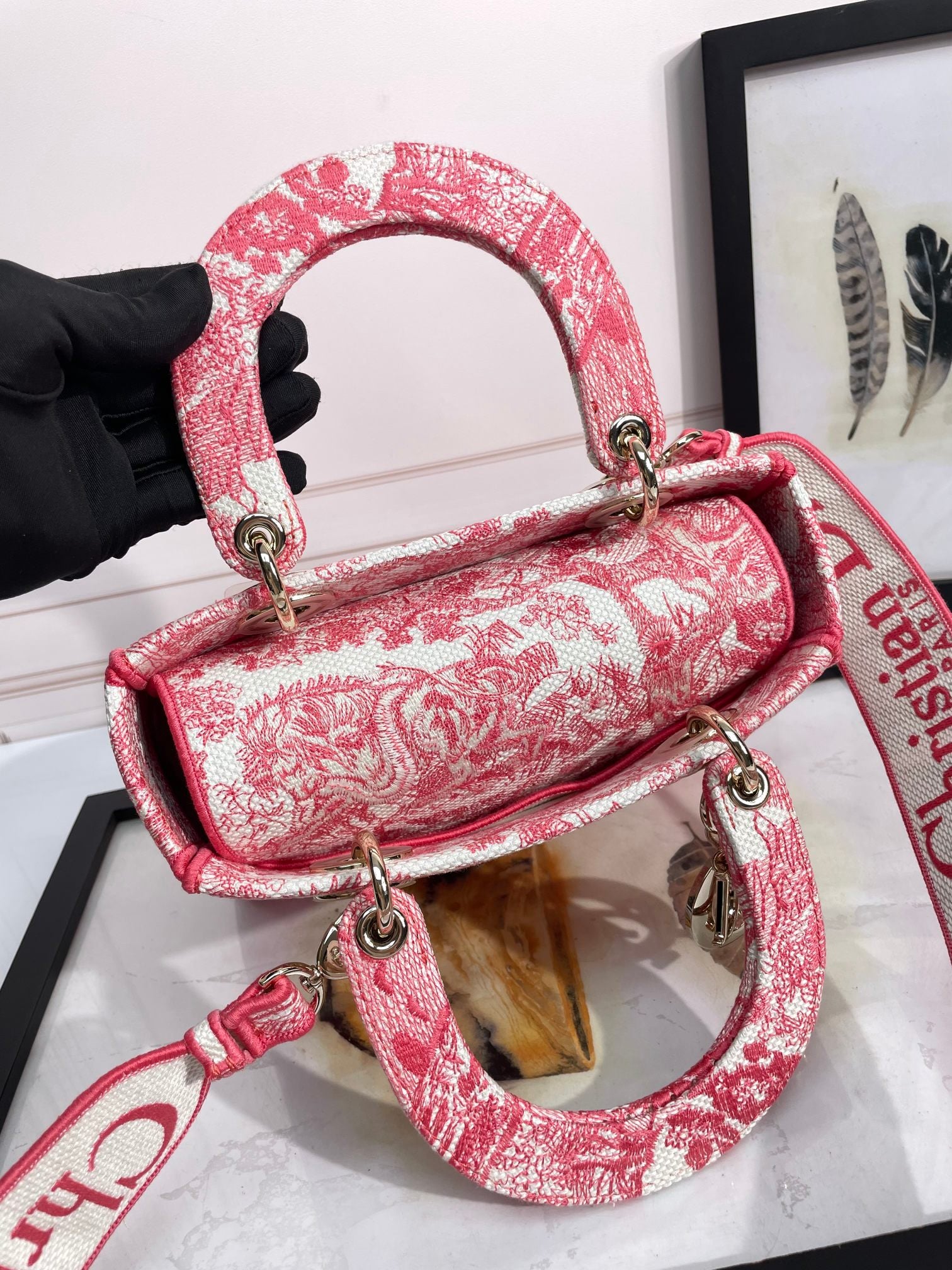 Dior Elegant Pink Toile Embroidered Canvas Handbag with Top Handle