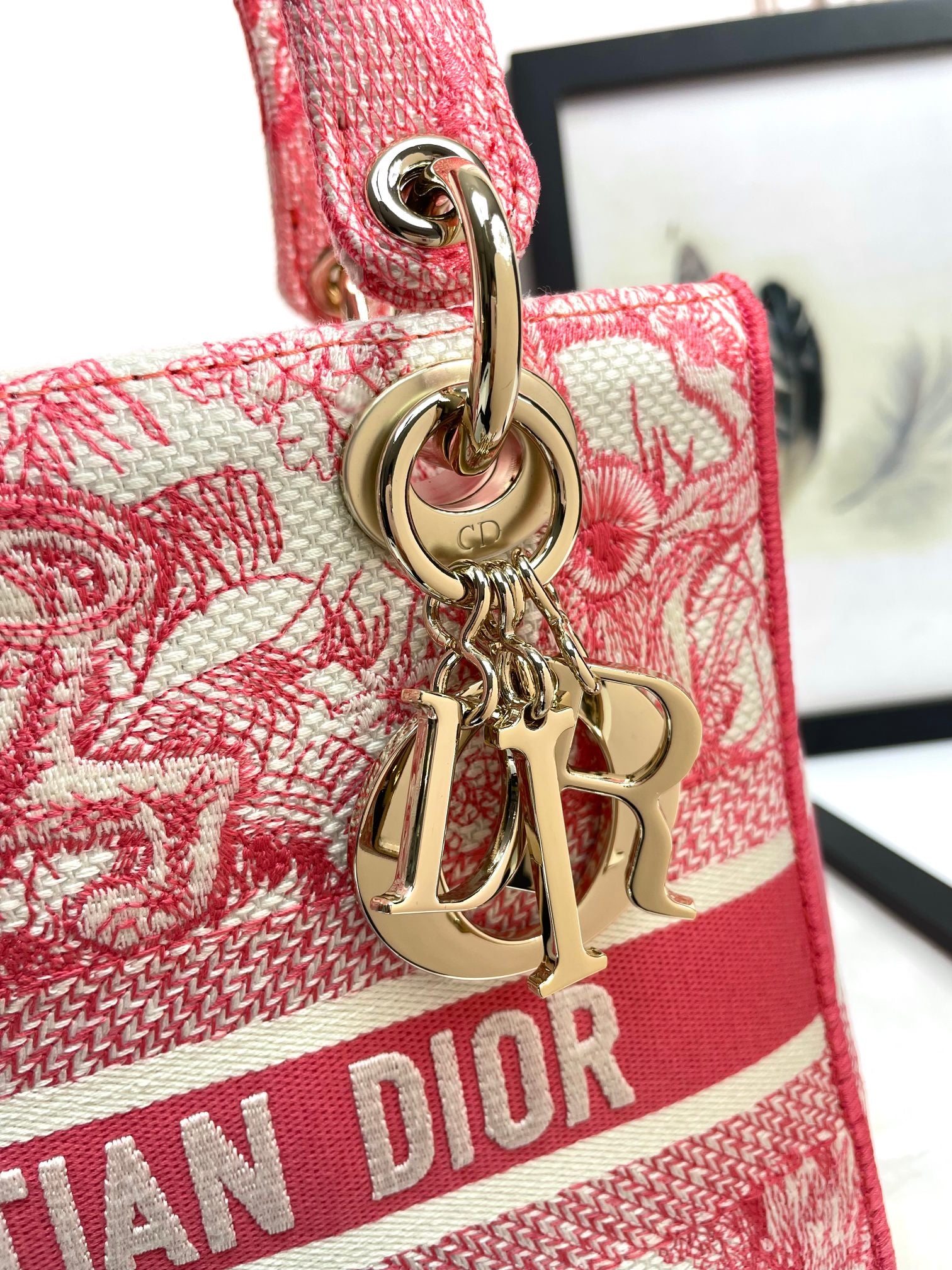 Dior Elegant Red Toile de Jouy Embroidered Canvas Top Handle Tote Bag