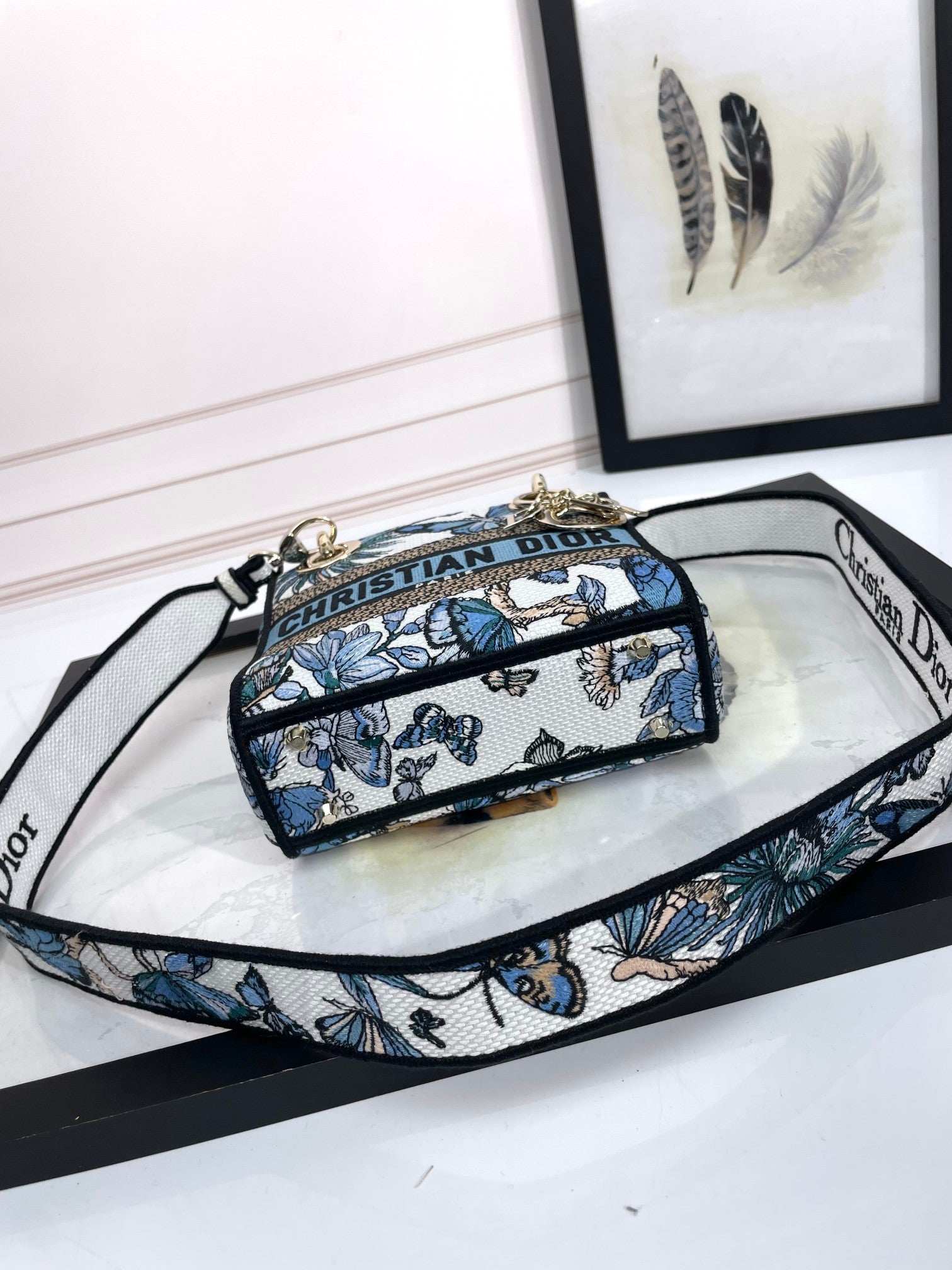 Dior Blue and White Butterfly Embroidered Canvas Mini Handbag