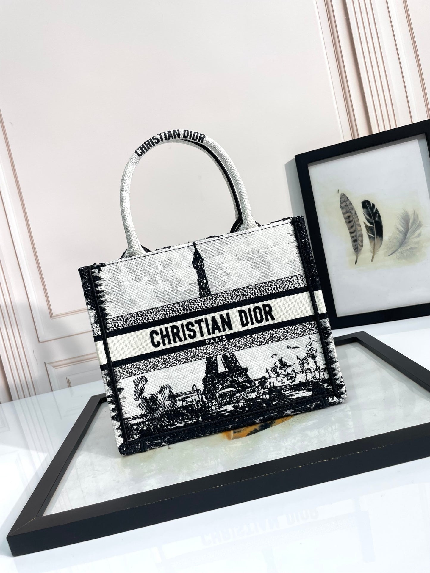 Christian Dior Medium Book Tote Plan de Paris Black and White Embroidered Bag