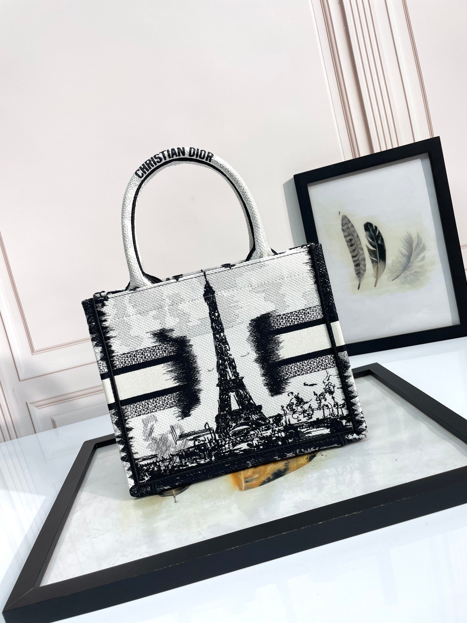 Christian Dior Medium Book Tote Paris Motif Black and White Canvas