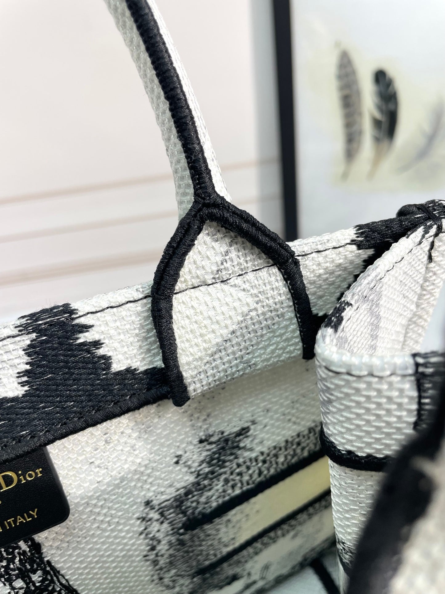 Christian Dior Medium Book Tote Plan de Paris Embroidery Black and White