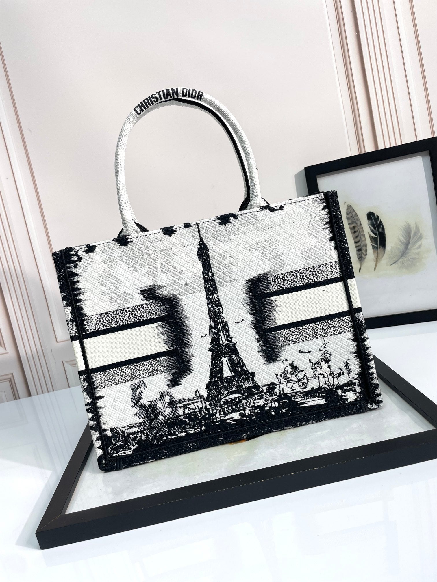 Christian Dior Book Tote Eiffel Tower Print - Large Embroidered Canvas Handbag