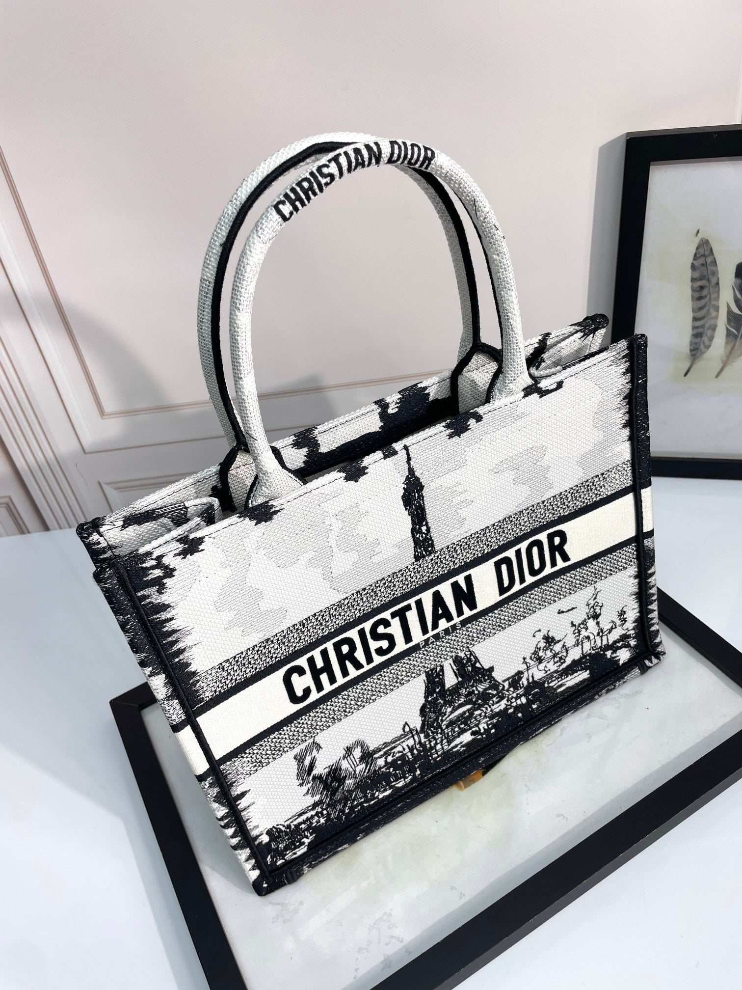 Dior Paris Eiffel Tower Black and White Embroidered Canvas Tote Bag