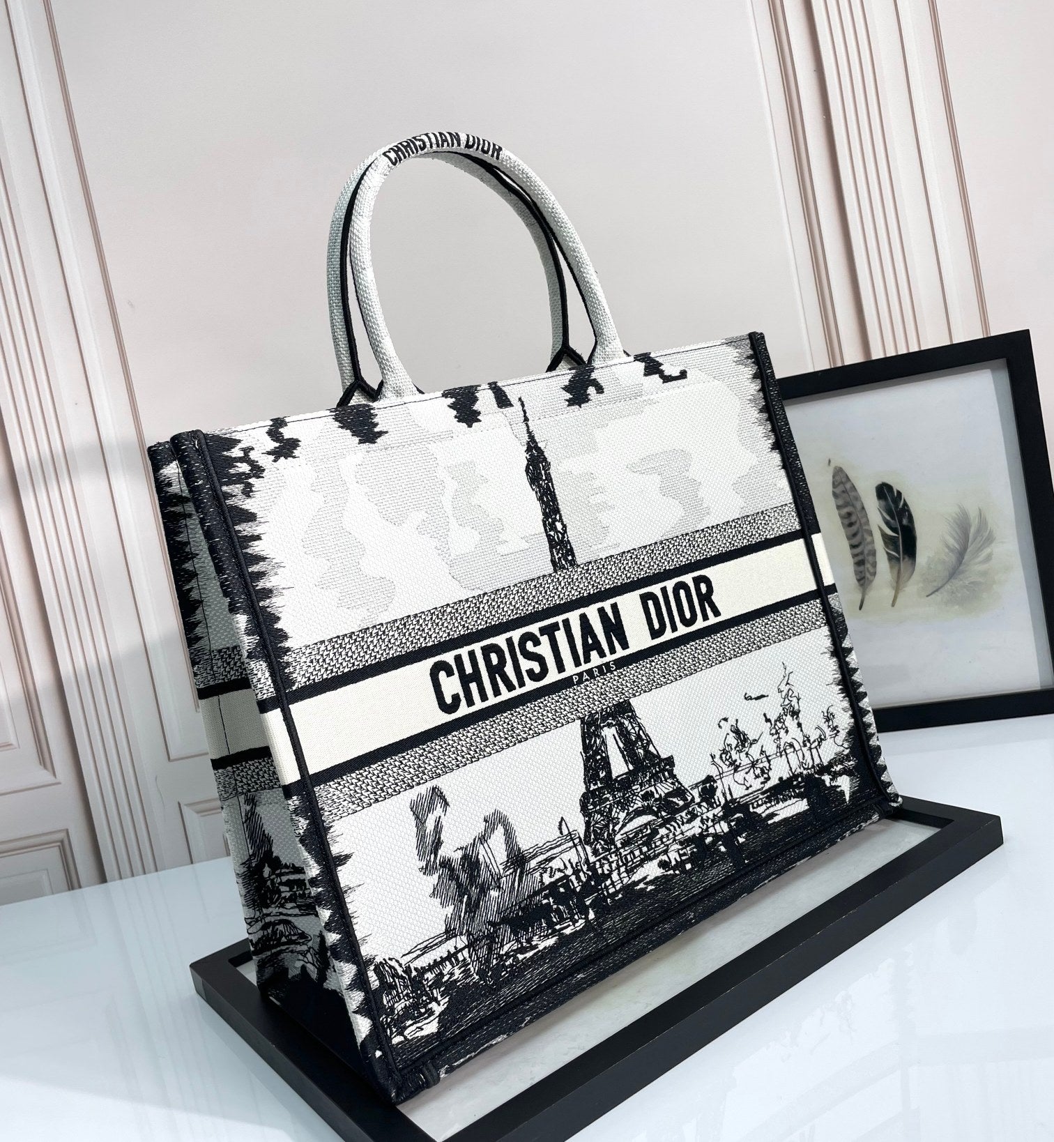 Christian Dior Medium Book Tote - Plan de Paris White and Black Embroidered Canvas