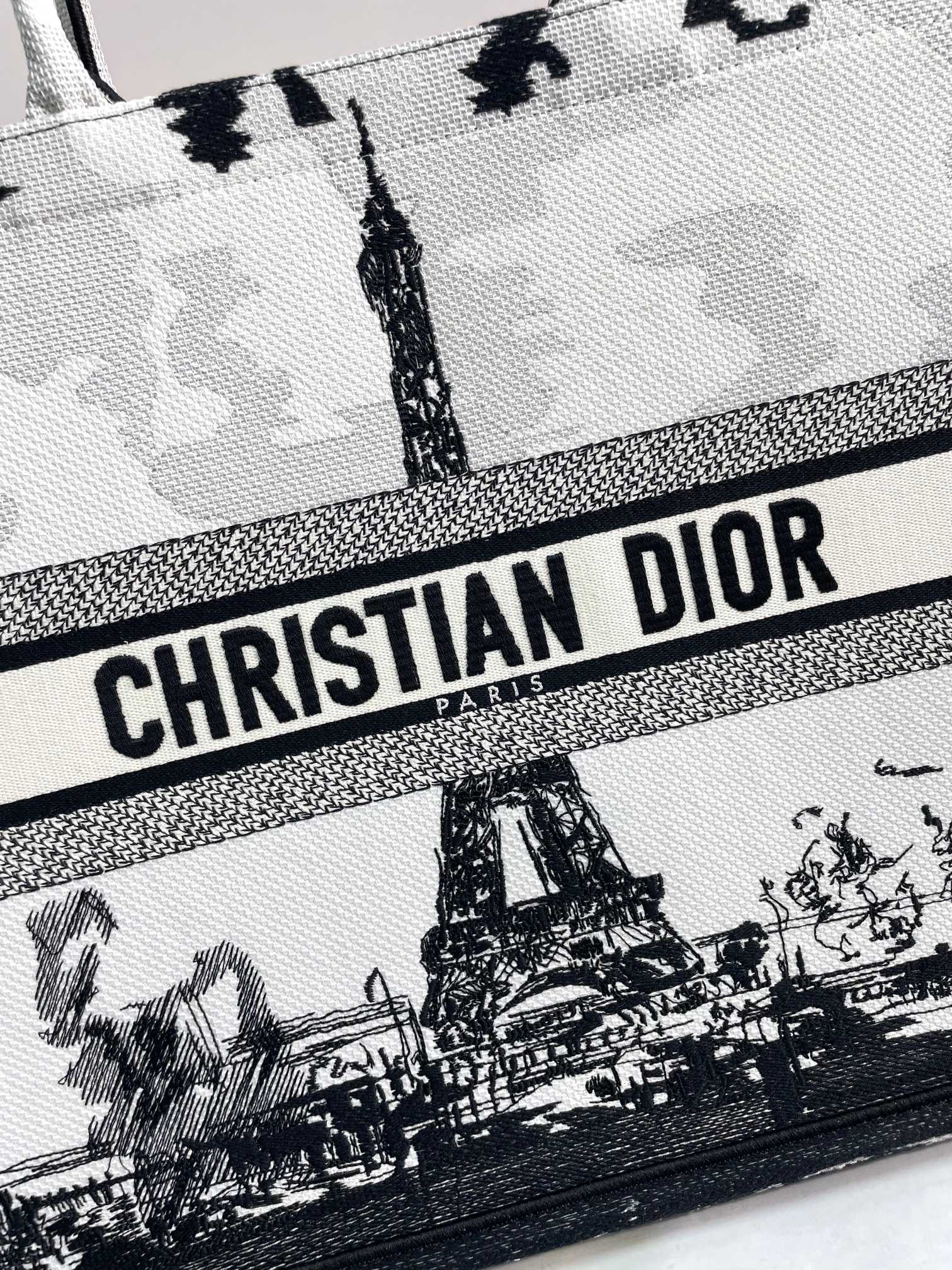 Christian Dior Medium Book Tote - Black and White Plan de Paris Embroidery