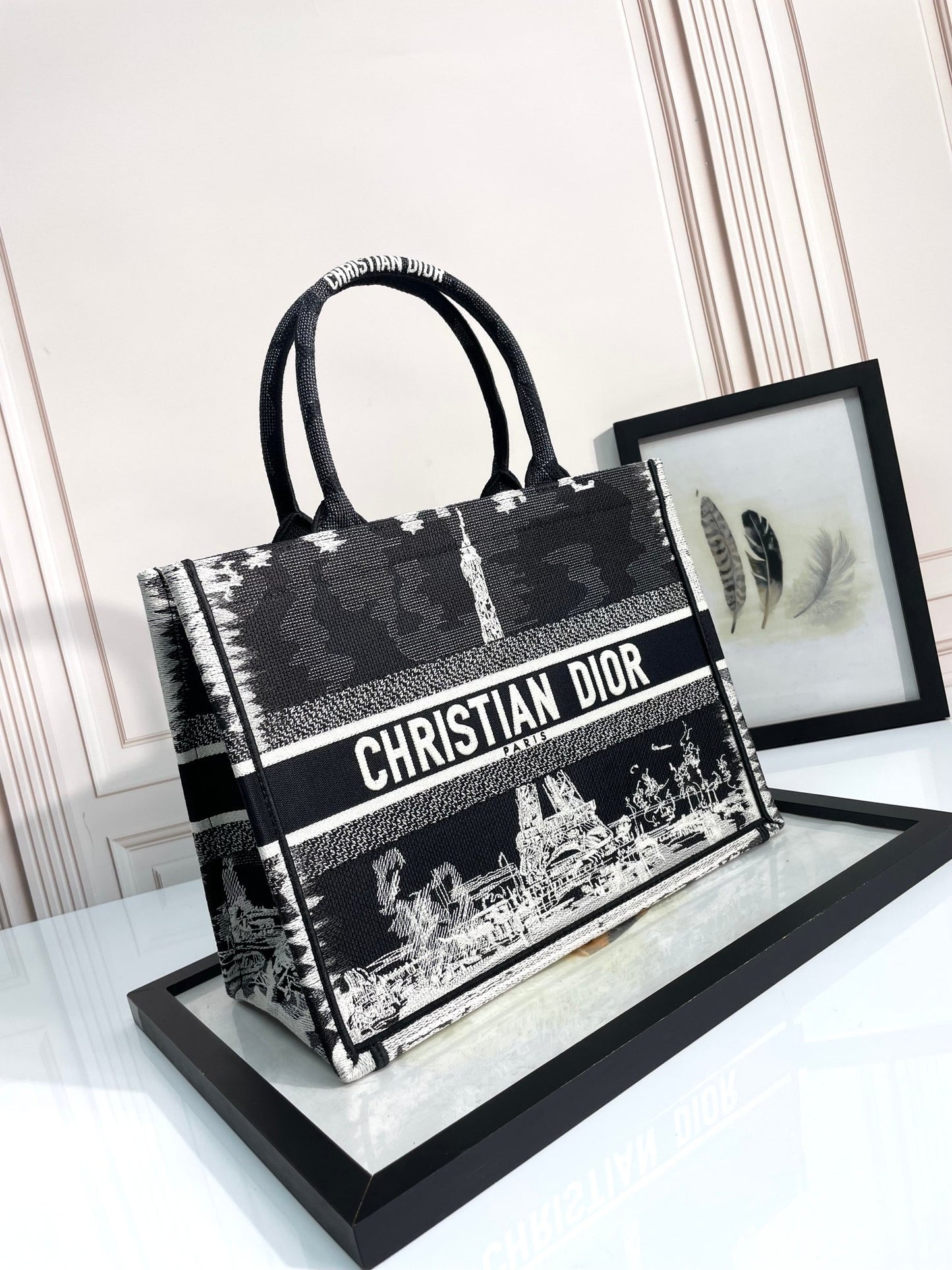 Dior Black and White Paris Eiffel Tower Canvas Tote Handbag