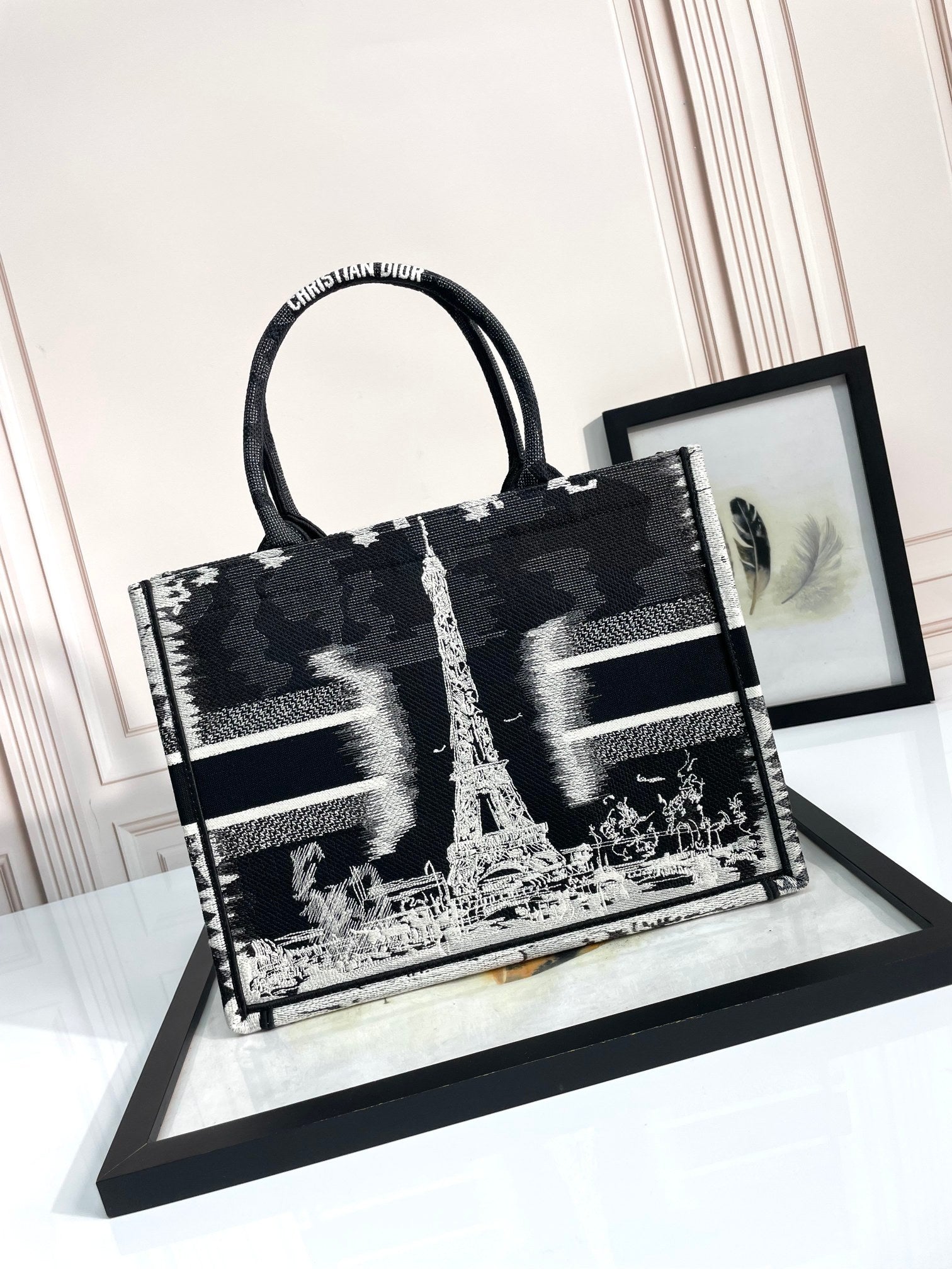 Christian Dior Book Tote Plan de Paris Bag Black and White Embroidery