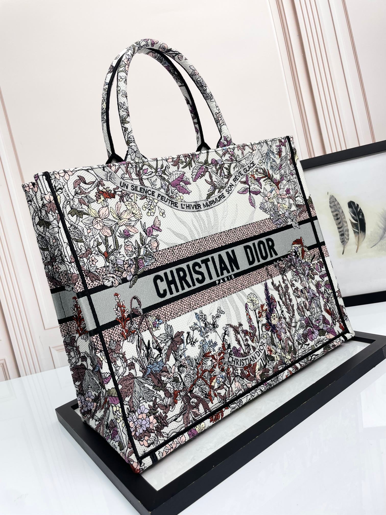 Christian Dior Book Tote Bag in Multicolored Embroidered Canvas - Large