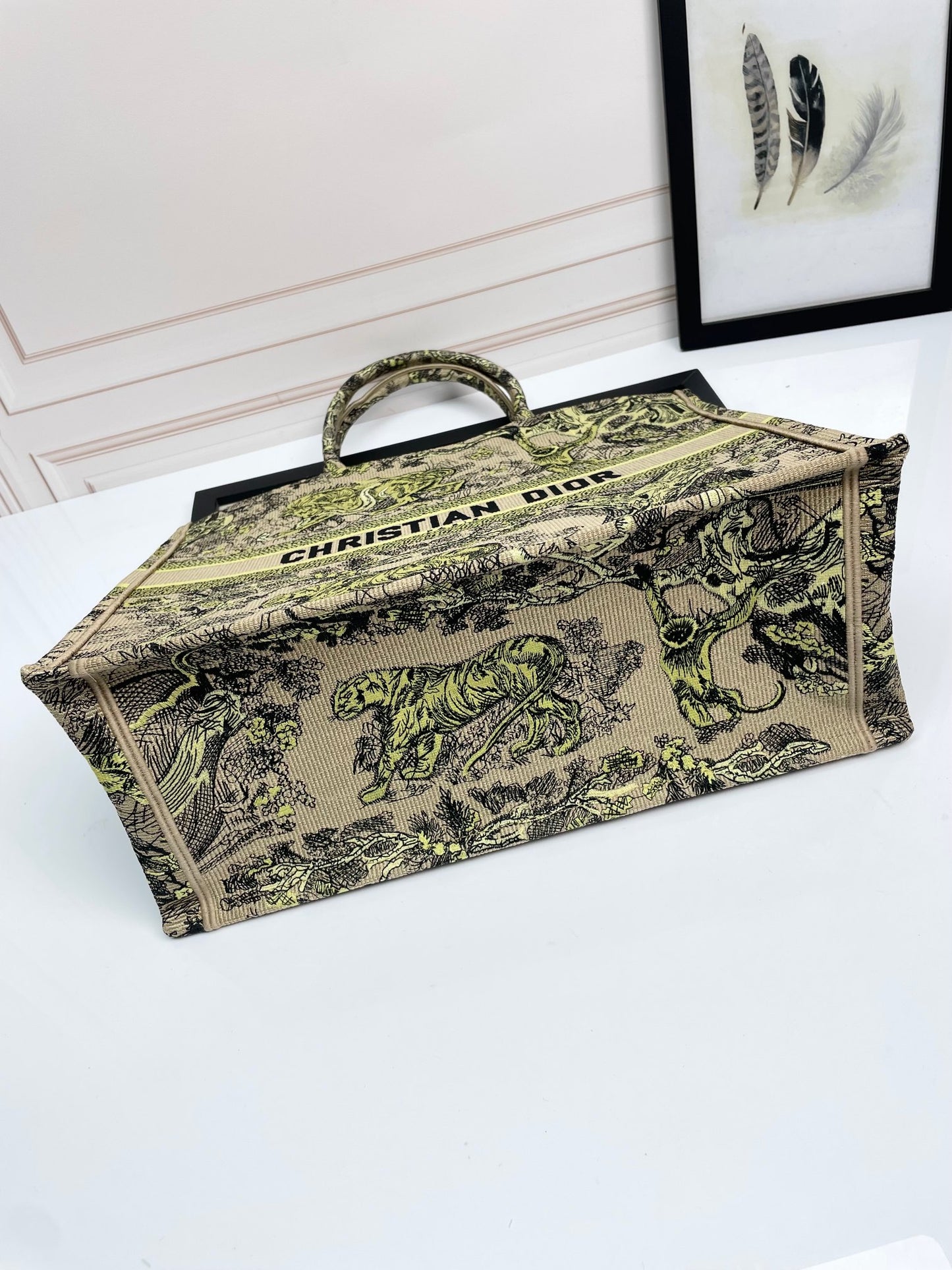 Christian Dior Large Book Tote Bag in Embroidered Canvas