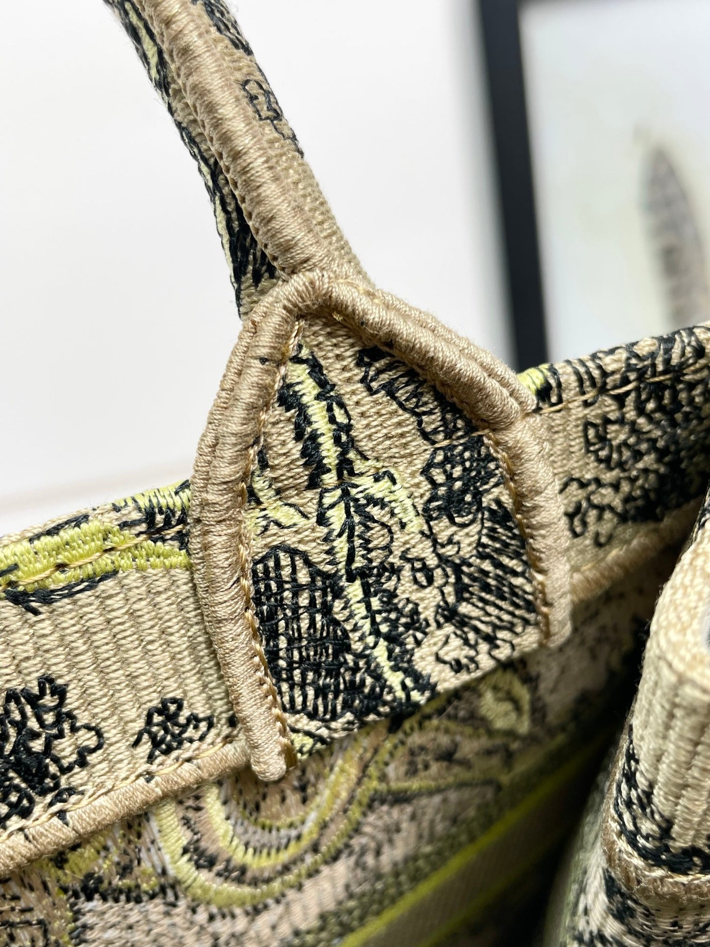 Christian Dior Large Book Tote Bag in Embroidered Canvas