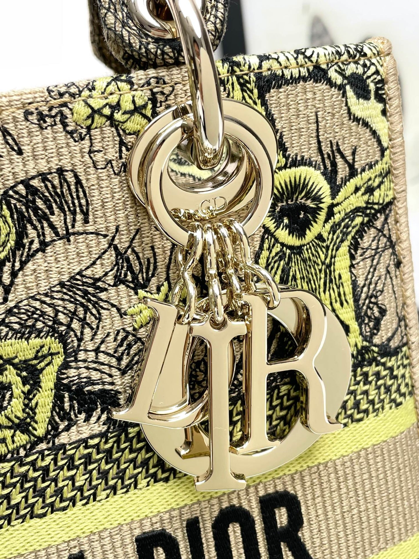 Christian Dior Lady D-Lite Bag - Green & Beige Embroidered Toile de Jouy