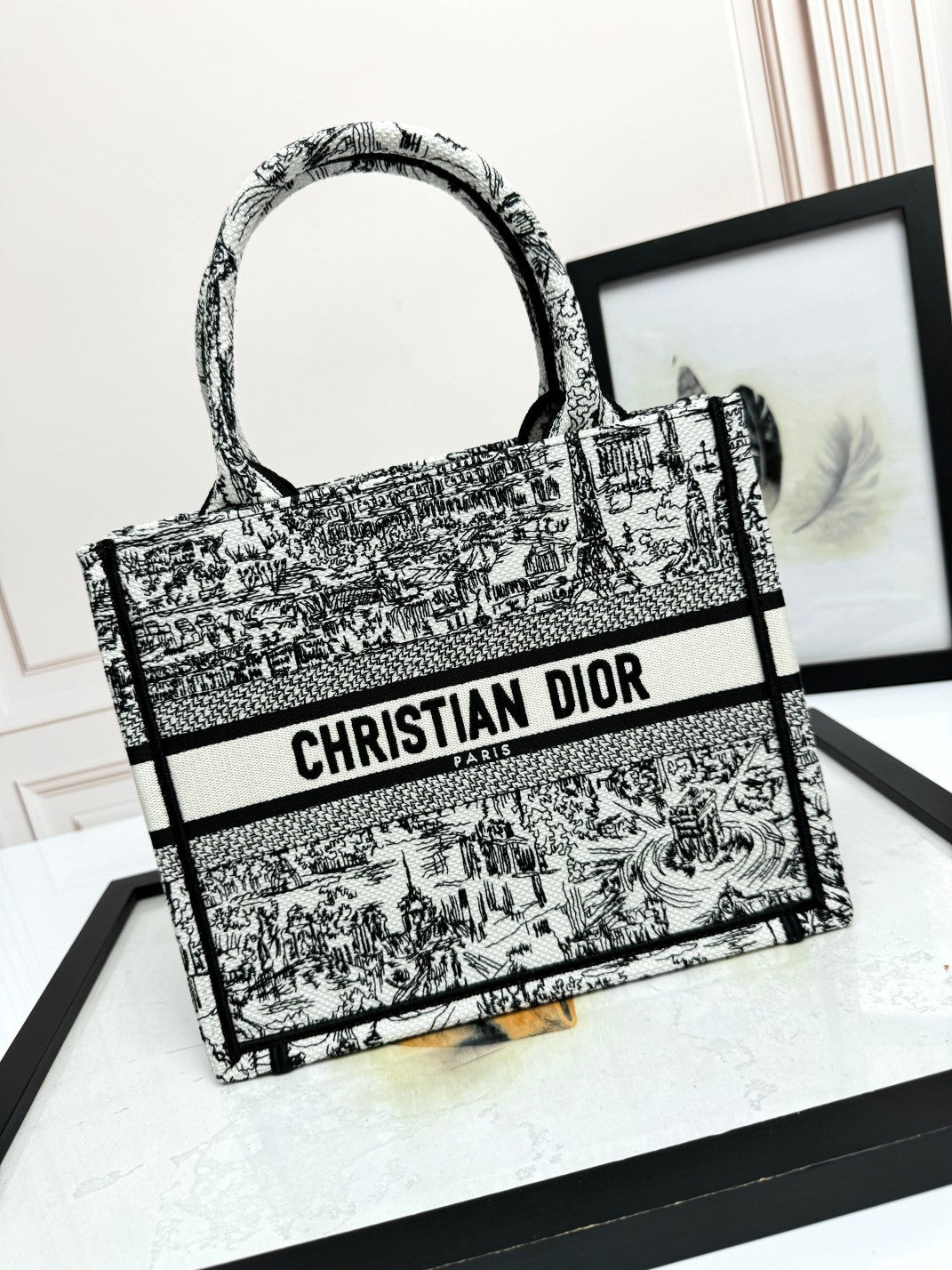 Dior Classic Black and White Toile Embroidered Canvas Tote Bag