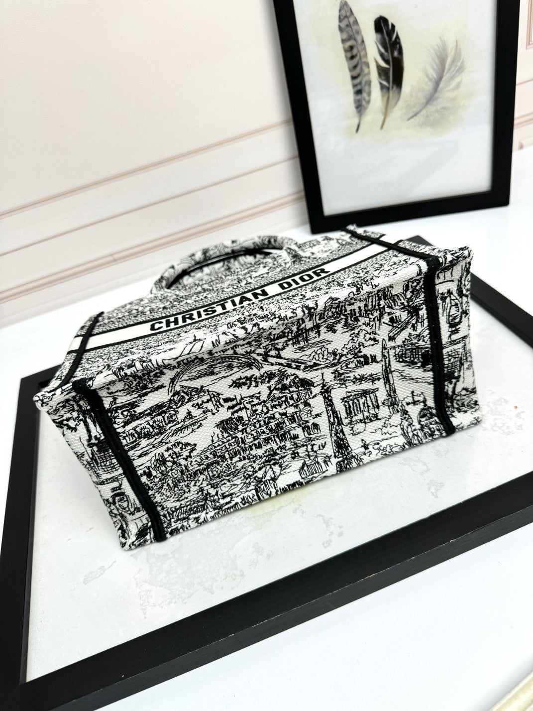 Dior Classic Black and White Toile Embroidered Canvas Tote Bag