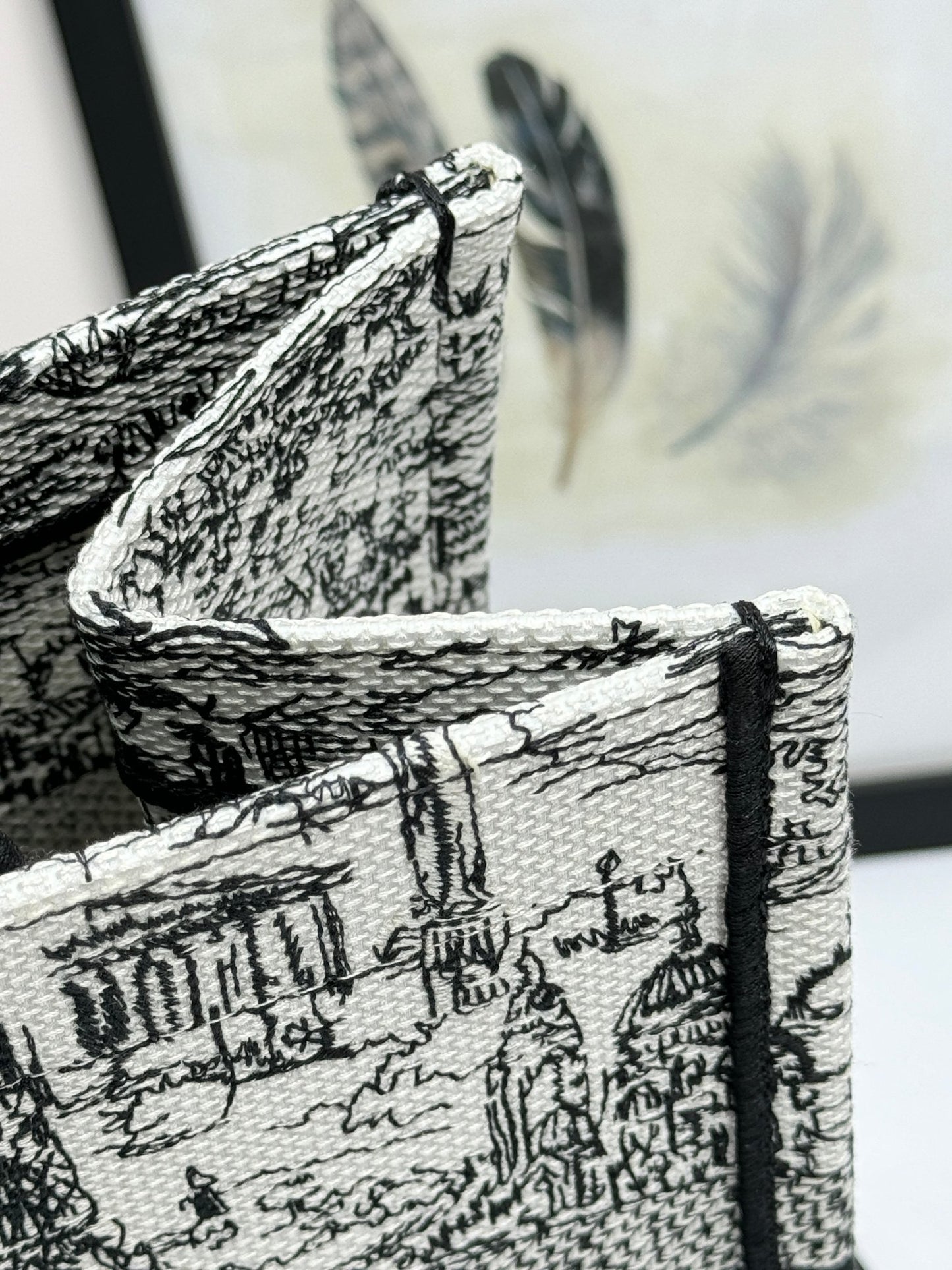 Dior Vintage Black and White Landscape Print Canvas Tote Handbag