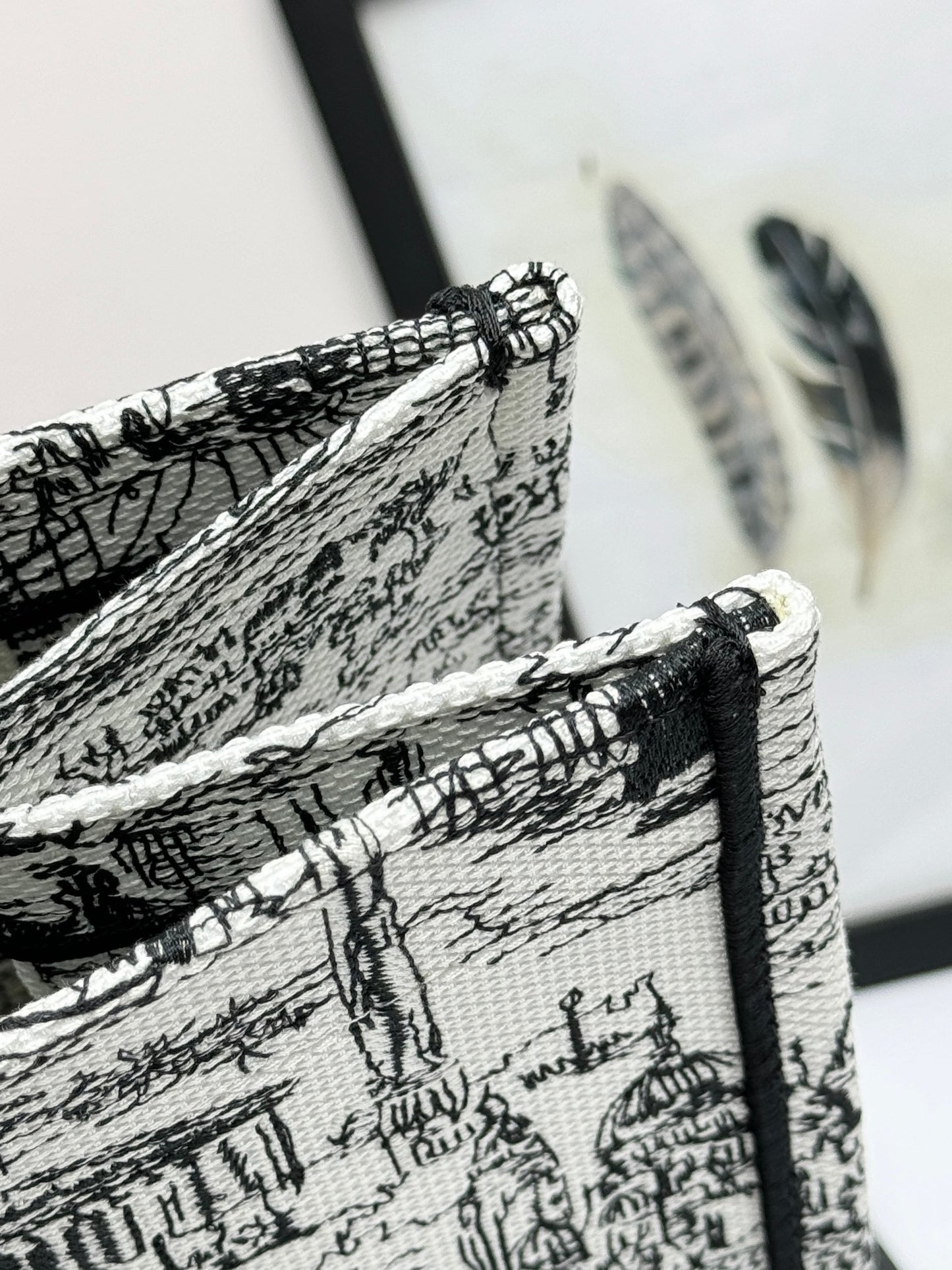 Christian Dior Large Book Tote Bag - Black and White Toile de Jouy Embroidery