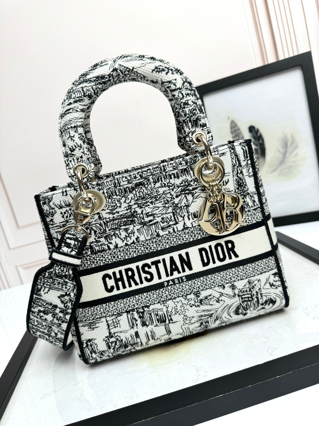 Christian Dior Medium Lady D-Lite Bag - Black & White Toile de Jouy Reverse Embroidery