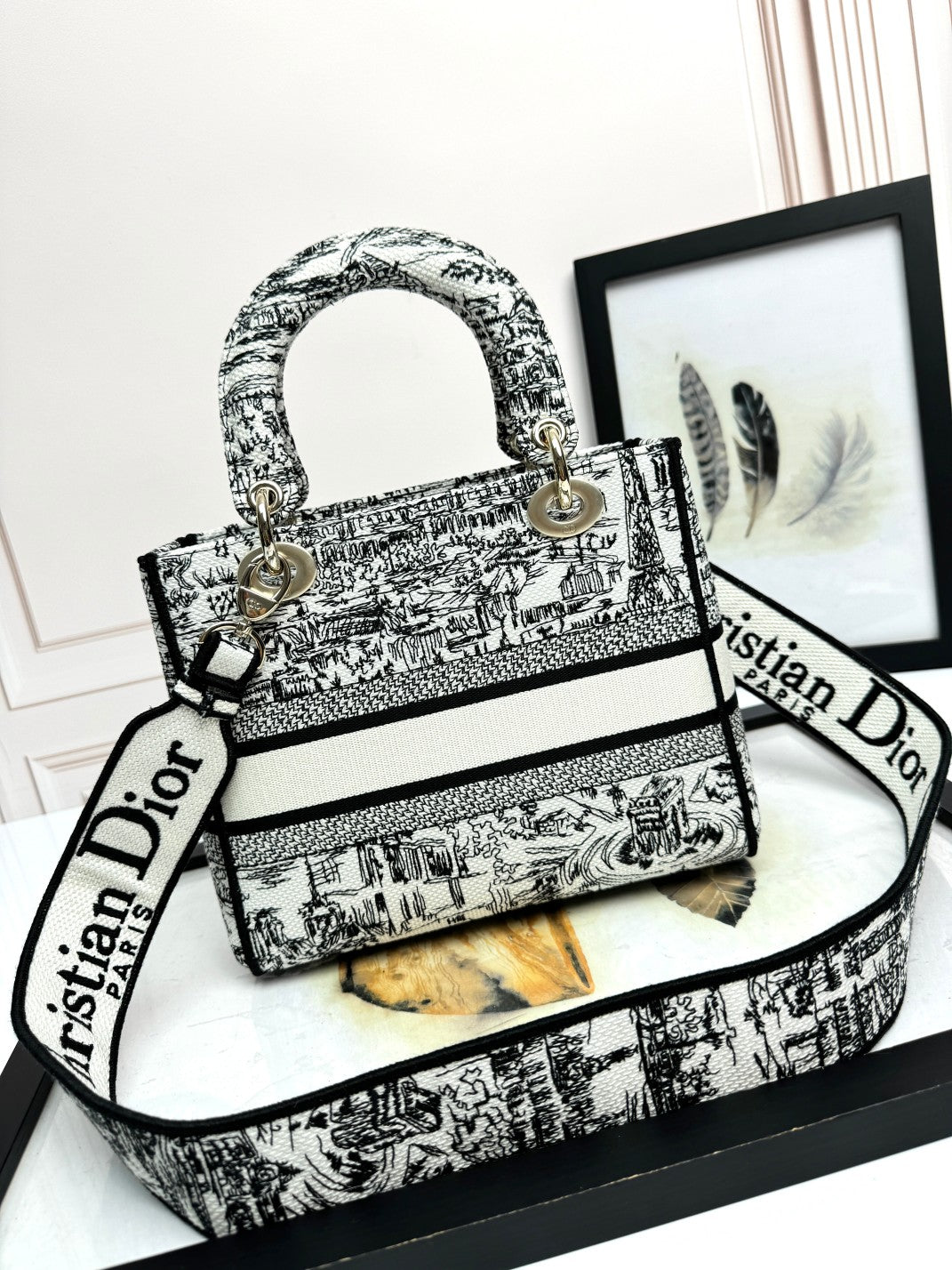 Dior Elegant Black and White Embroidered Toile Top Handle Handbag